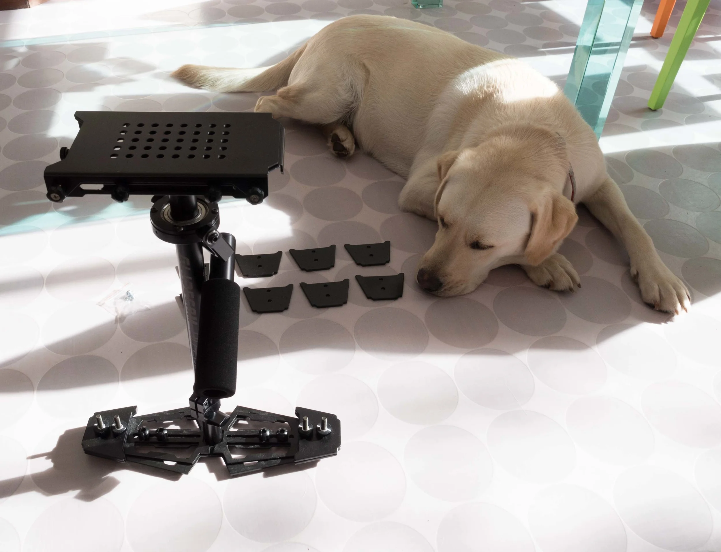 Glidecam HD-2000 - sold on ebay. Fifi fiercely on guard.