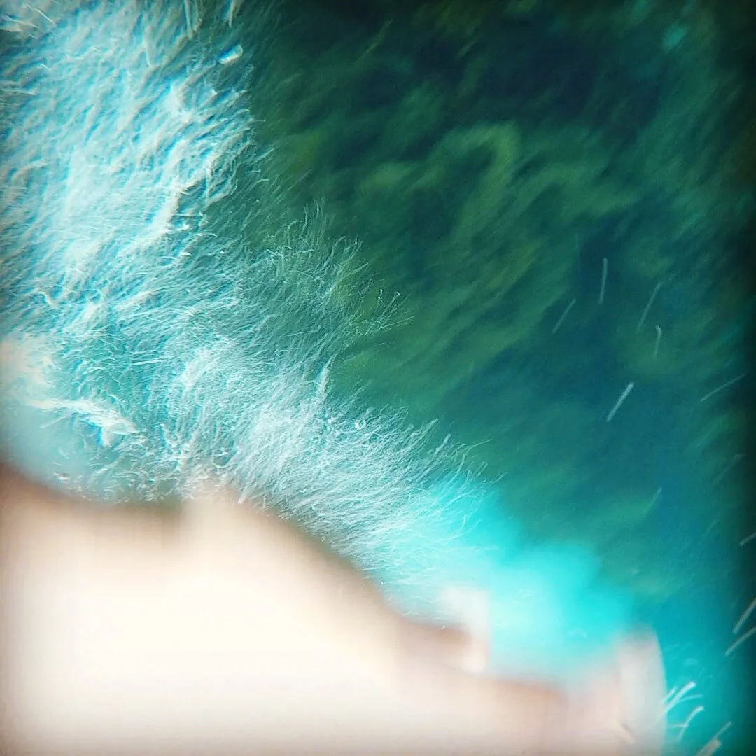 Strange tentacles erupt from my arm - not sure what normal tentacles would look like? #denmarkwa #water