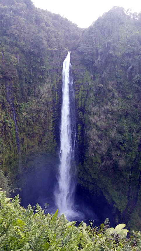  Akaka Falls, Hamakua Coast 