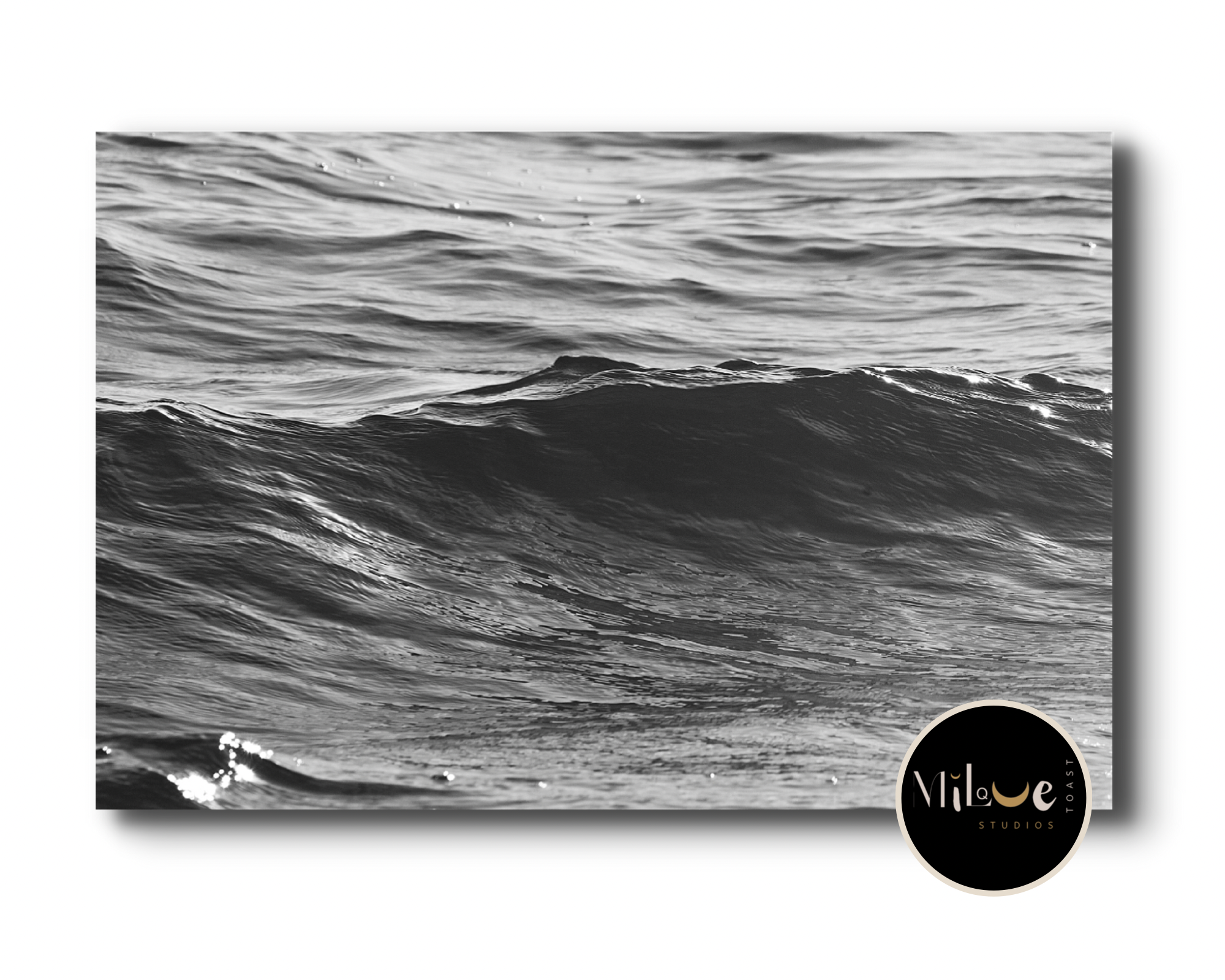 C25D883F-694F-4024-A6F7-F43147F8FD78