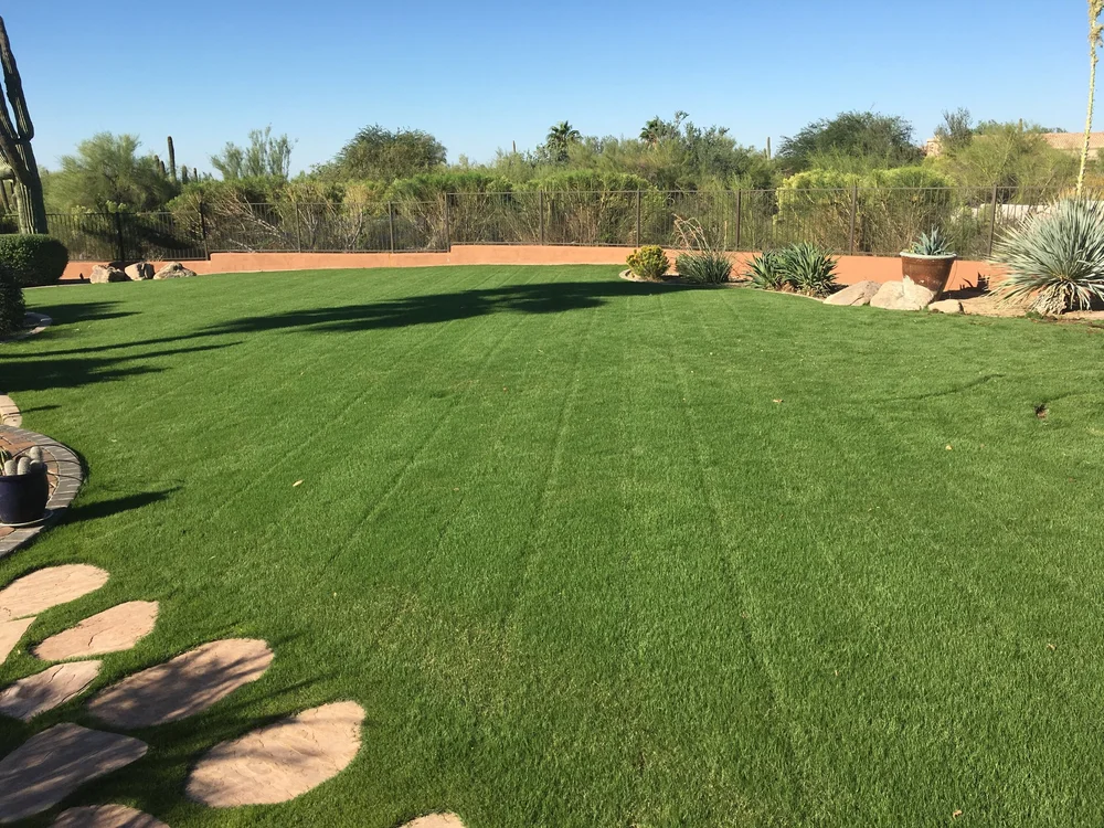 Blooming Valley crew working on a Scottsdale property