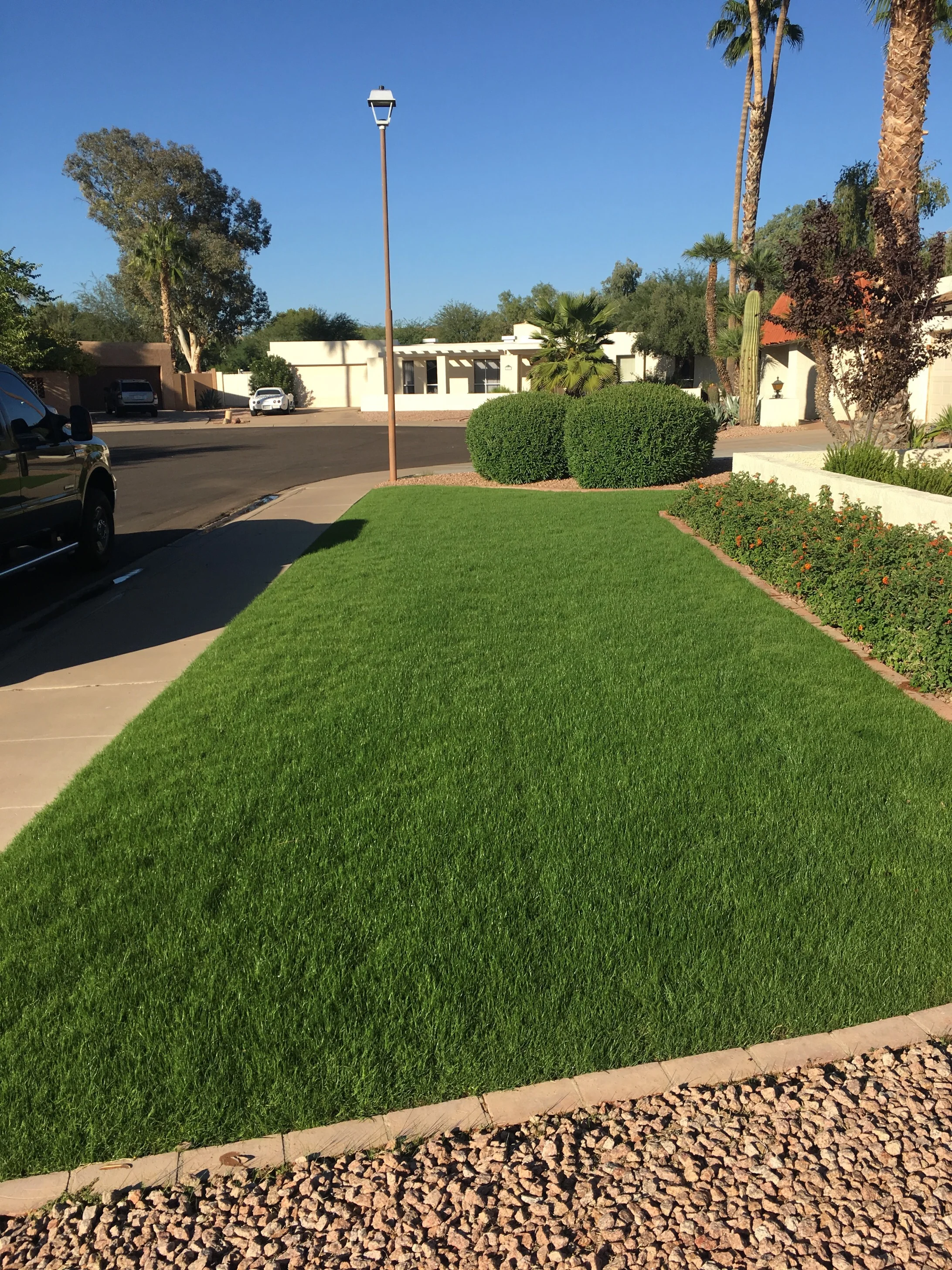 Lawn Care