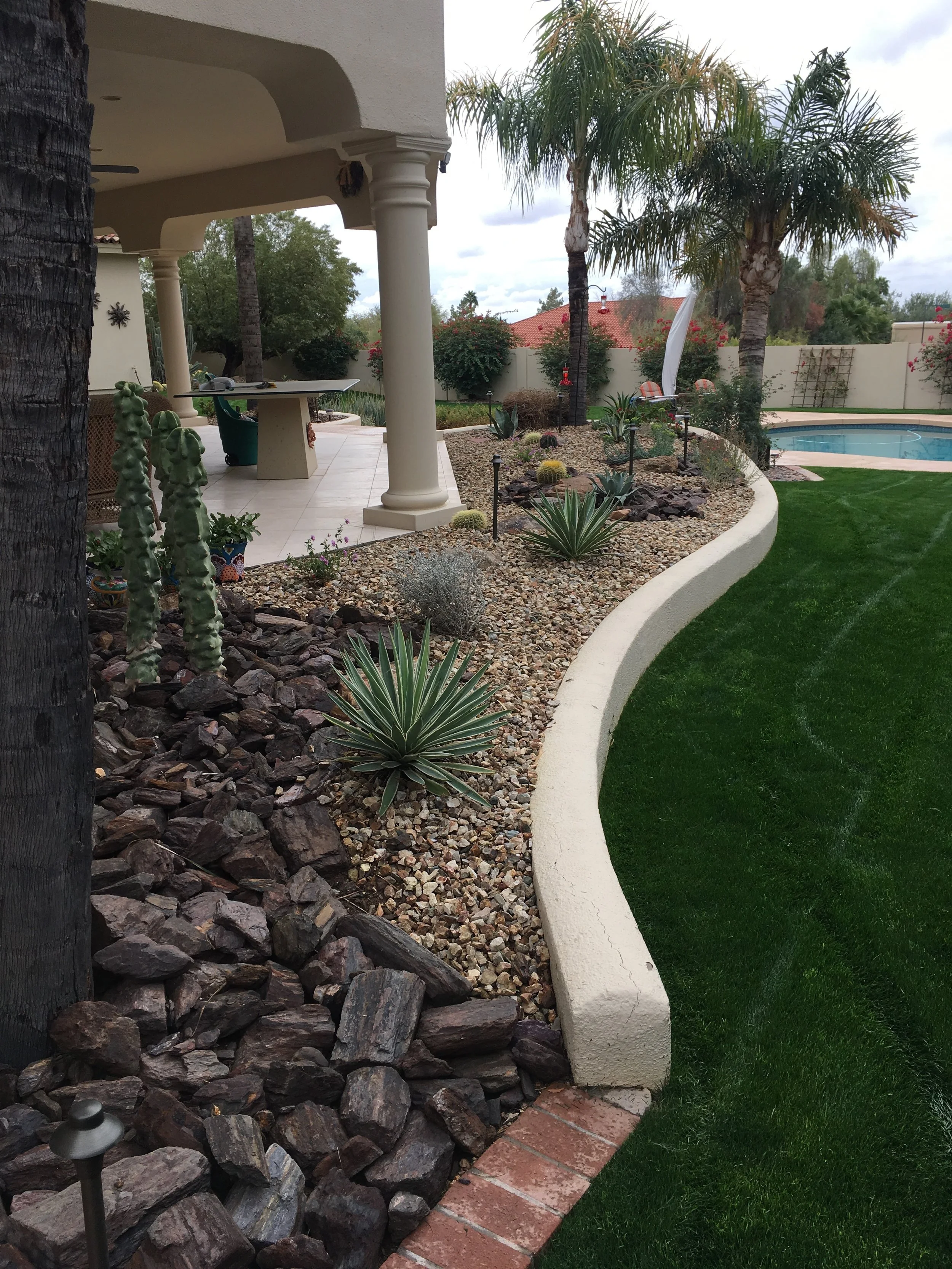Backyard with curved concrete border, lawn, desert plants, palm trees, pool and covered patio designed and maintained by Blooming Valley Landscape