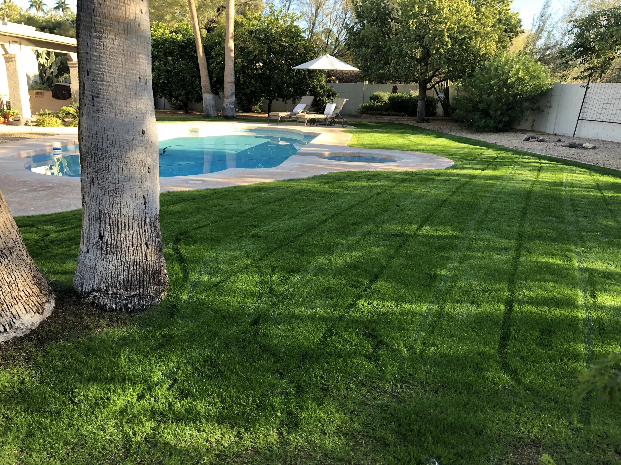 Backyard with circular swimming pool, lounge chairs, patio umbrella and green lawn maintained by Blooming Valley Landscape