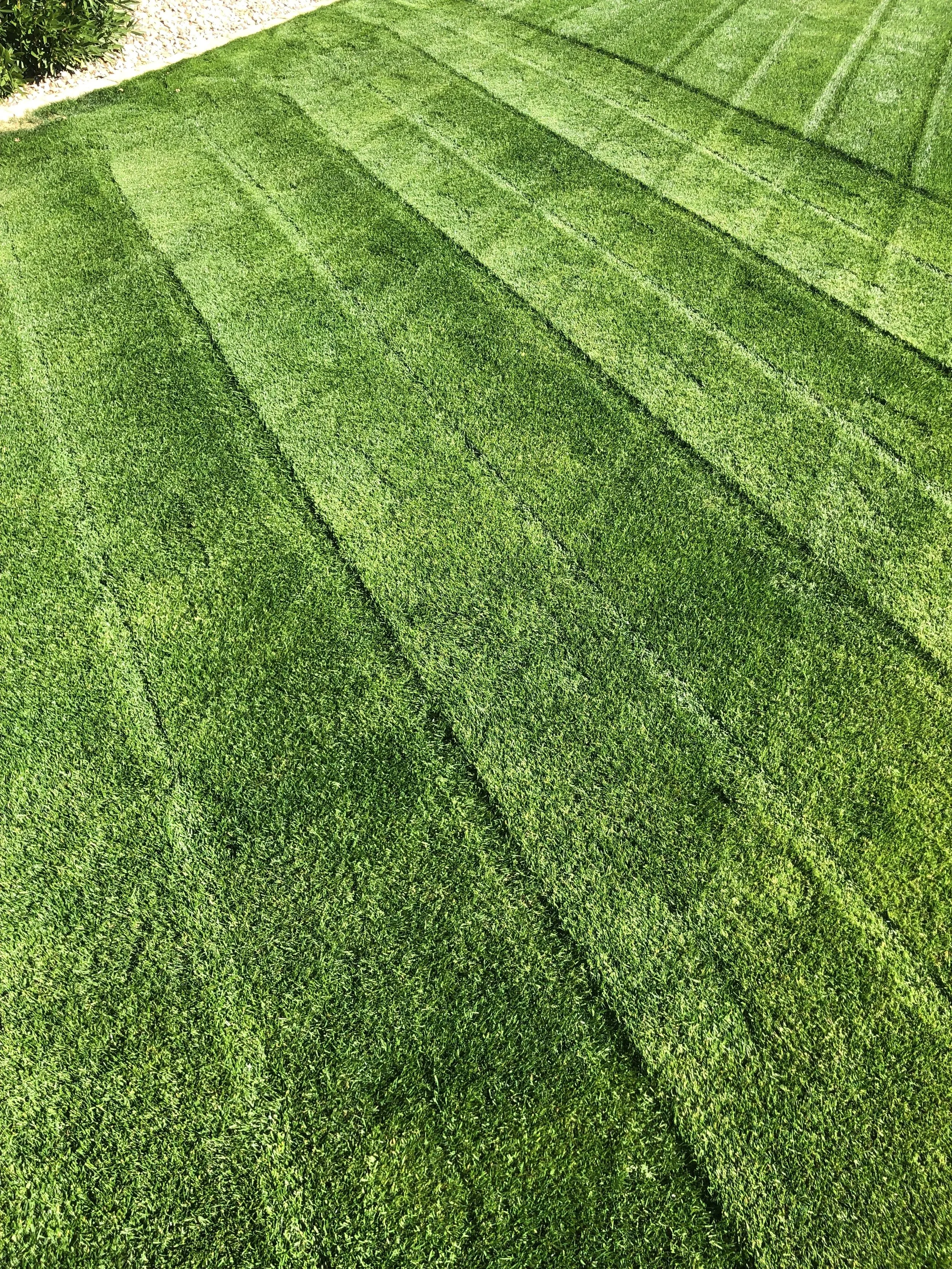 Diamond Cut Lawn (Copy)