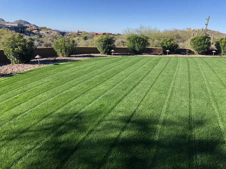 Real Blooming Valley manicured lawn
