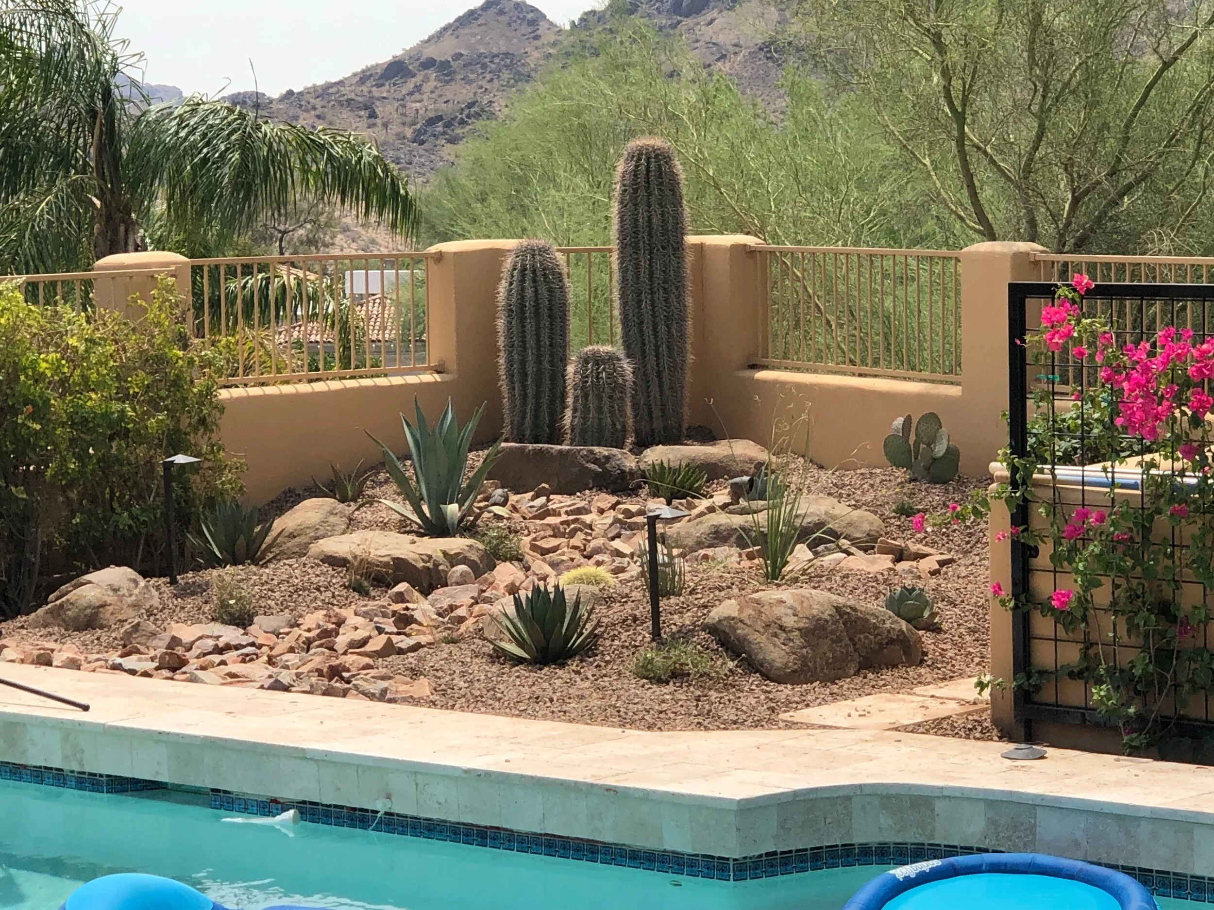 Desert Oasis poolside (Copy)