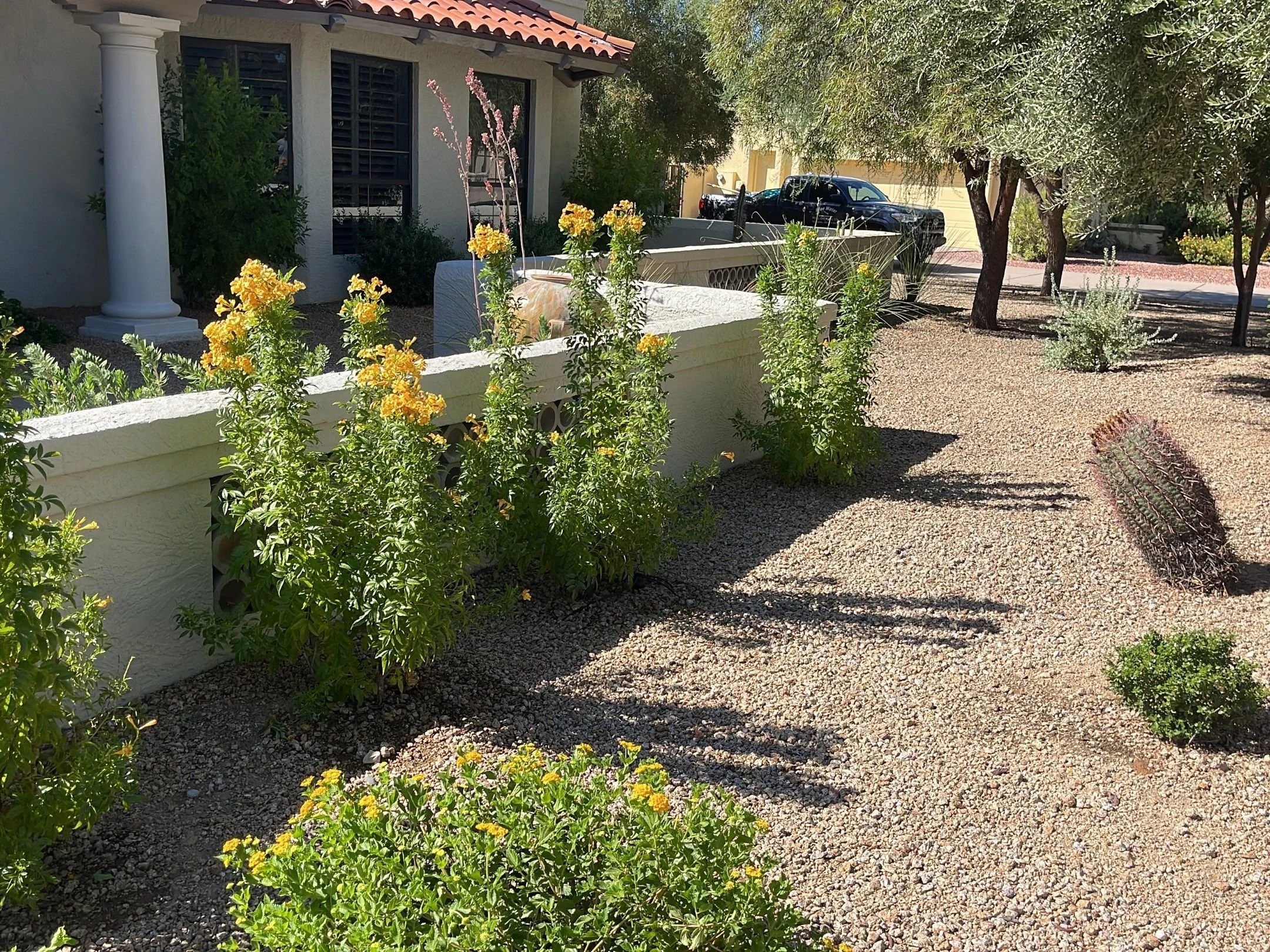 Landscape Maintenance — Blooming Valley Landscape
