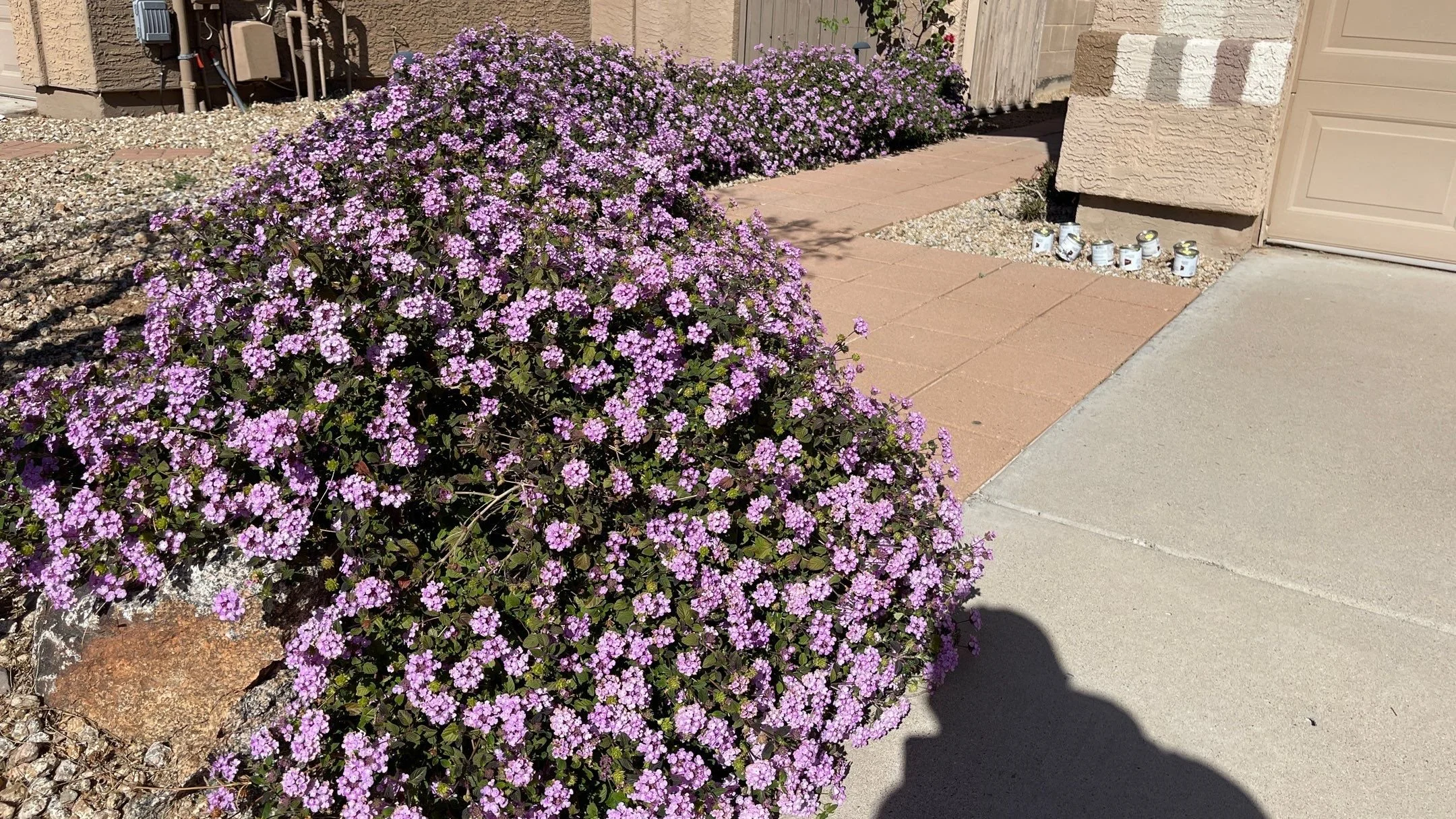 Landscape Maintenance — Blooming Valley Landscape