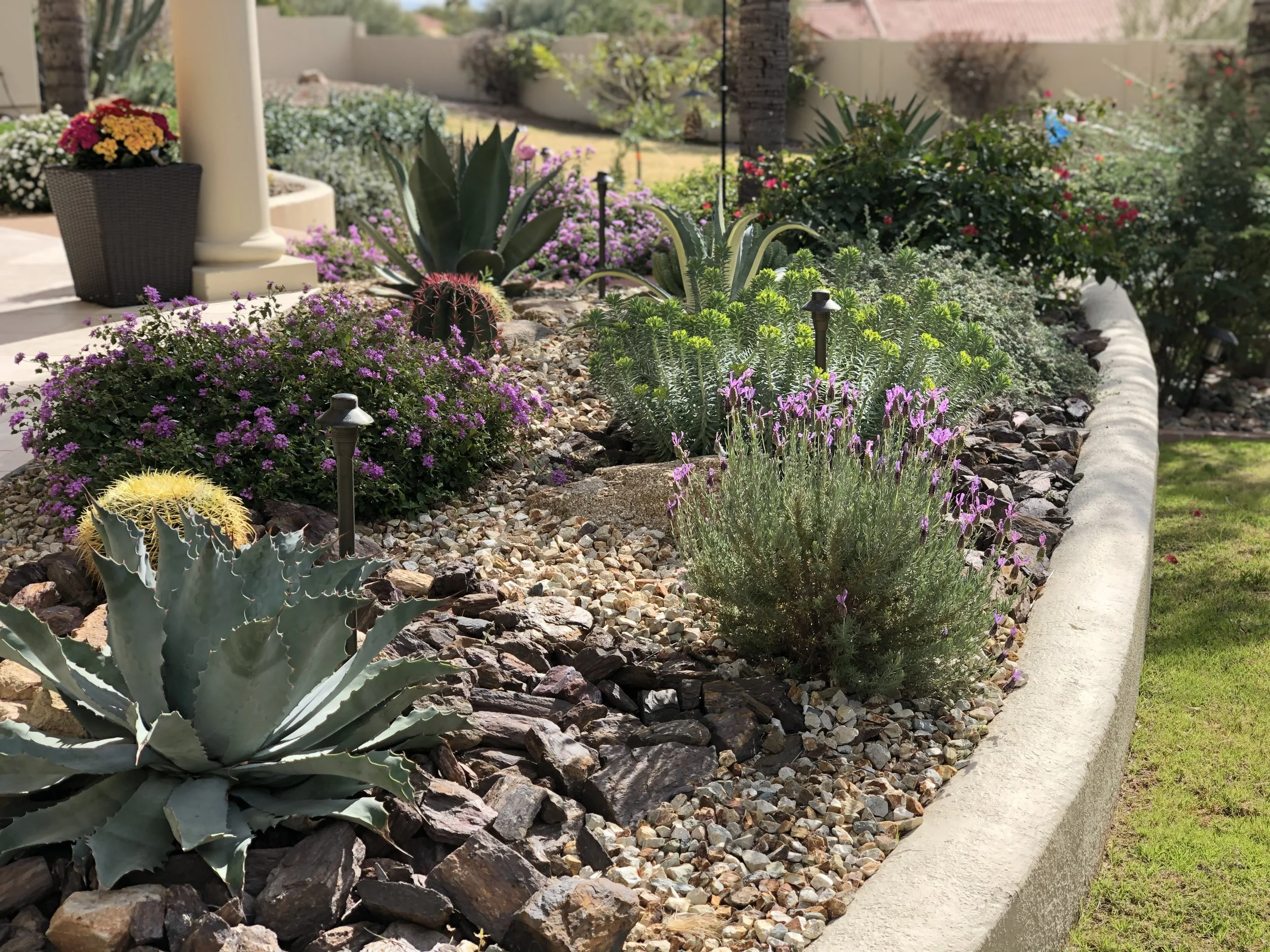 Real Blooming Valley Landscape project — a bright, manicured front entry and porch