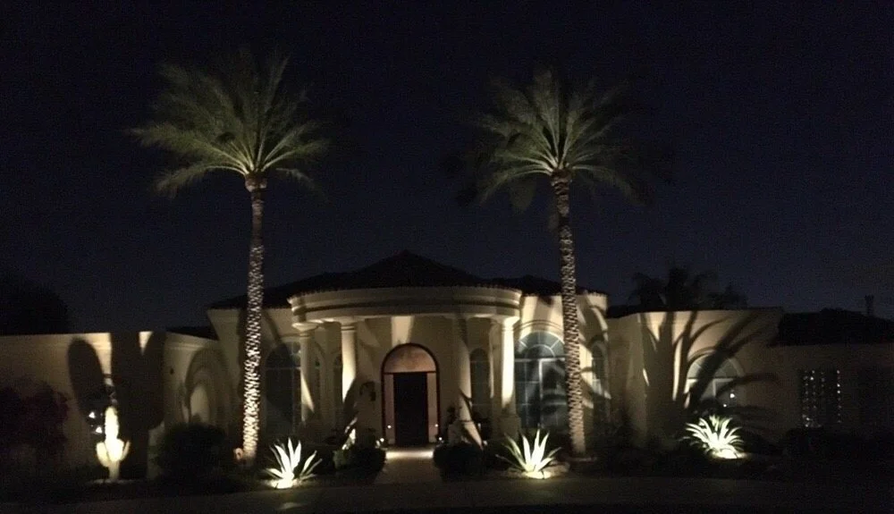 Palm trees up-lit at night on a Blooming Valley Landscape lighting project
