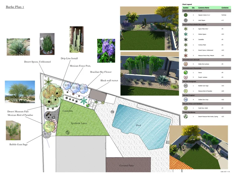 Real Blooming Valley 2D landscape design plan drawing