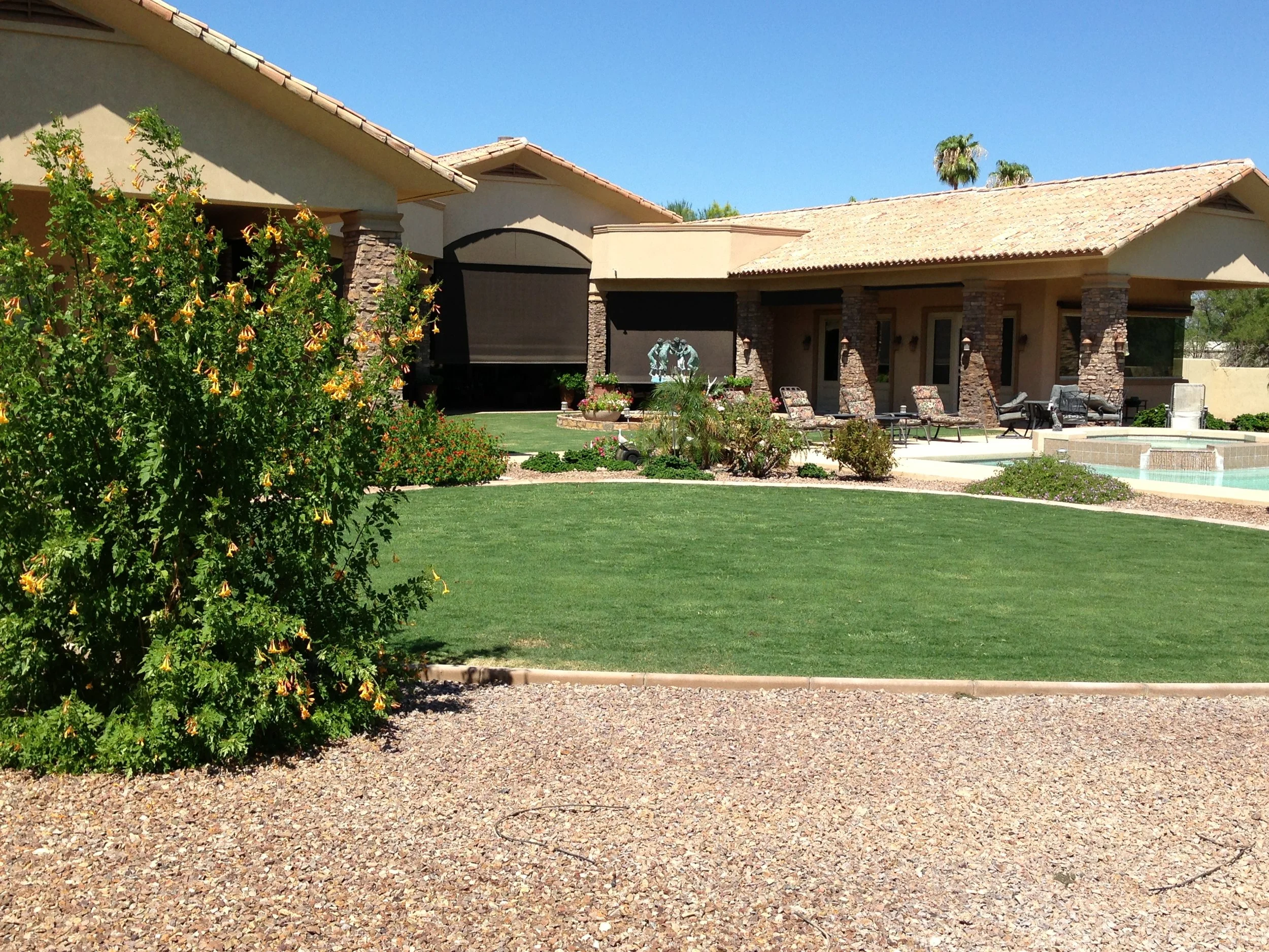 Lush green backyard lawn with covered patio and pool in Scottsdale