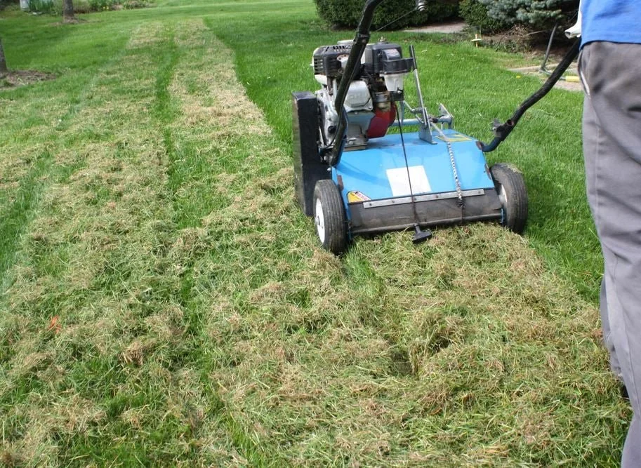 Verticutting to open up your lawn