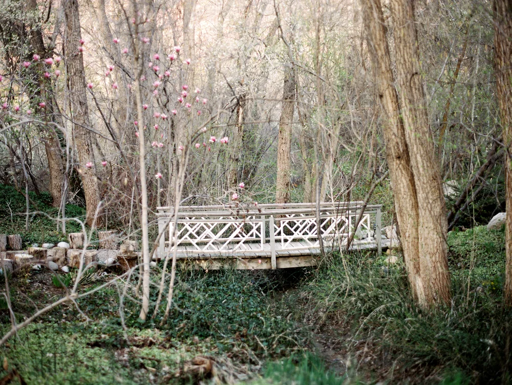 Mansion_Film_0303.jpg