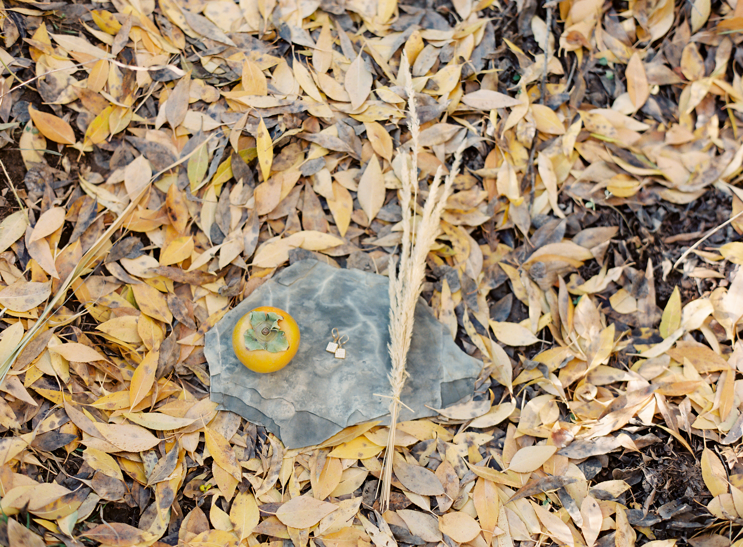 642_love_elements_greenapplephotography_gathershoot_0111.jpg