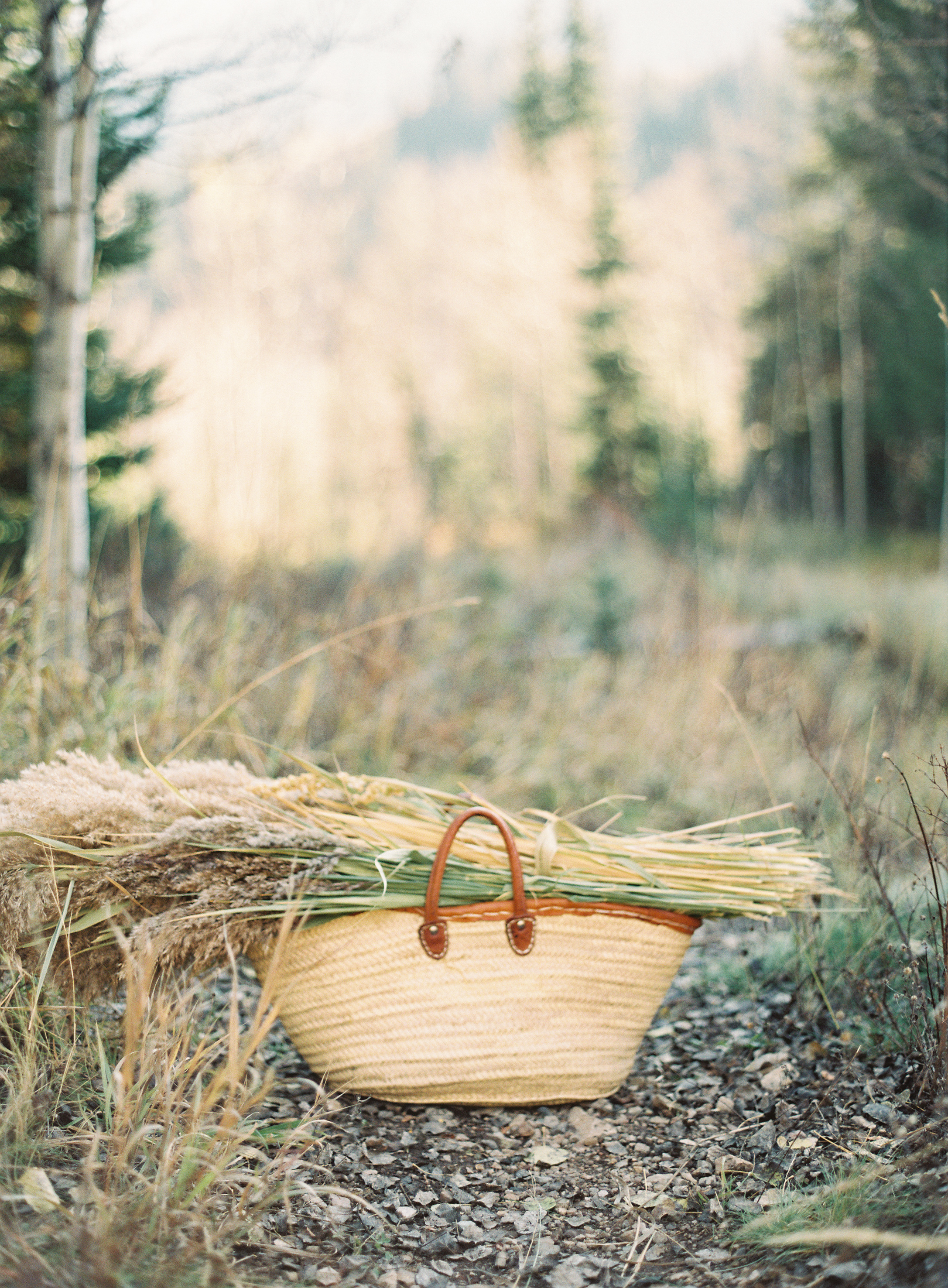 642_love_elements_greenapplephotography_gathershoot_0064.jpg