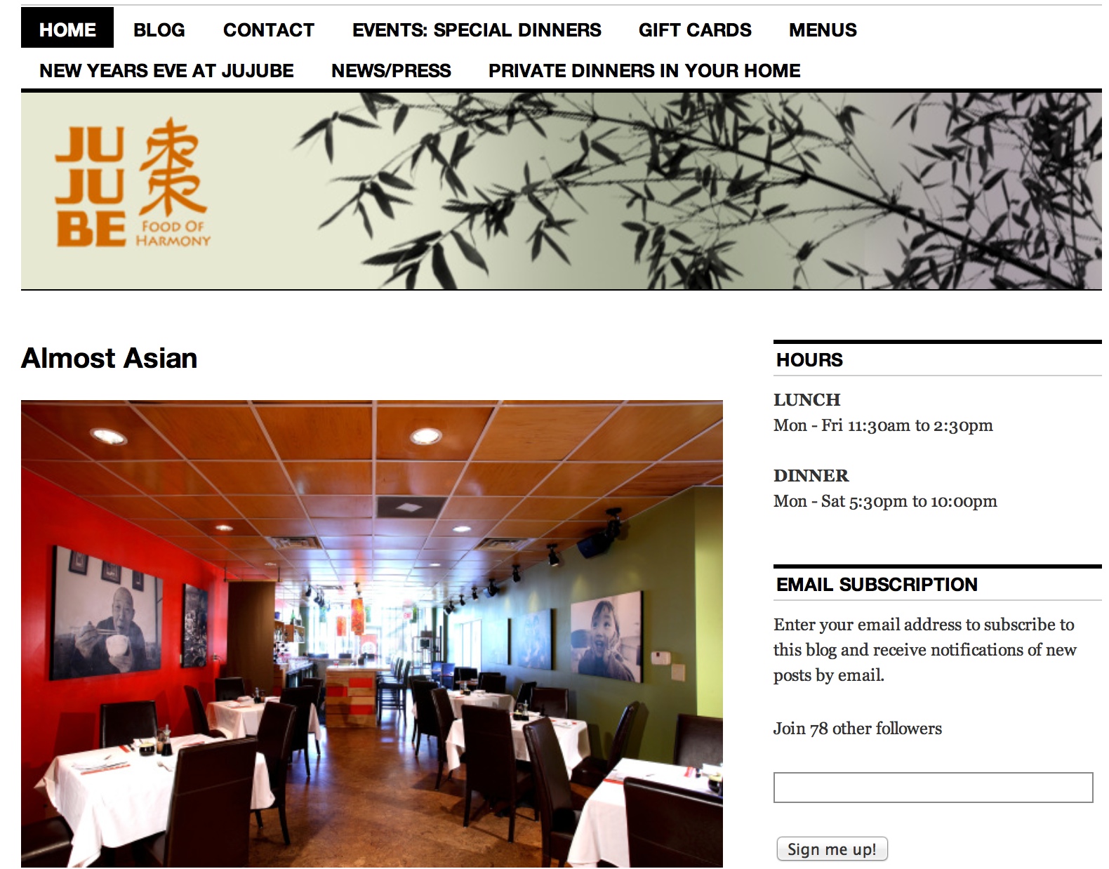 BEFORE: Jujube's Website on WordPress