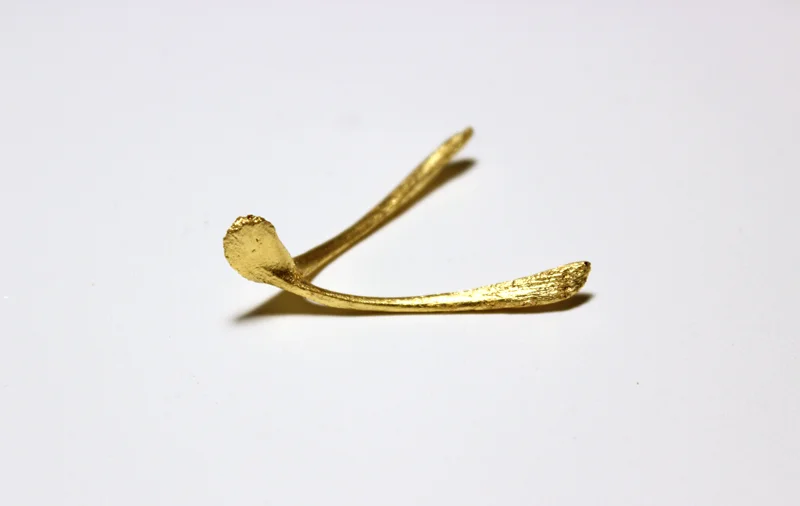 Wishbone (Tuesday Night Special)
