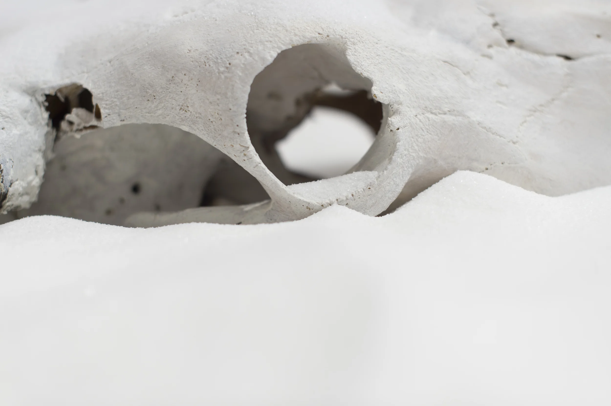 This large-scale installation artwork is a reference to the pre-modern belief that honeybees were spontaneously generated from cattle bodies in a vicious ritual called ‘bougonia.’ The literal and symbolic act of killing and burying cattle to repopulate mass honeybee losses appears throughout the ages in countries across Africa, Europe, and Asia. These ideas resonate in the present as we encounter similar anxieties around dwindling bee populations and unethical animal husbandry practices in industrial farming.
