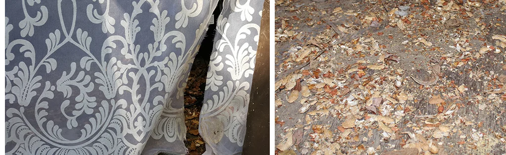  It was anticipated that various species would claim the work for themselves. Squirrels and raccoons tore through the silk linings in search of foodstuffs stored within, while various birds and mammals ravaged edible materials across the work's facad