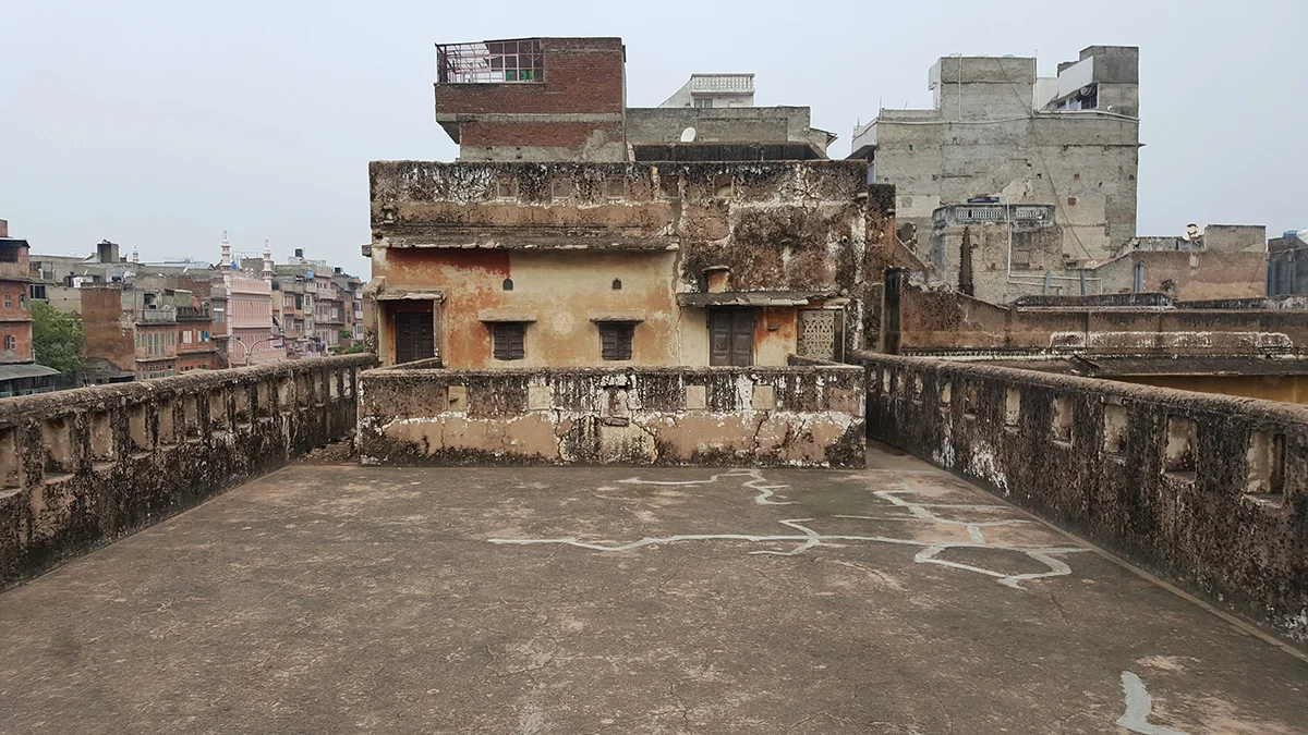 The untreated space exhibits a range of growth by various colonies of microflora offering an engaging opportunity to examine acutely the myriad of ways biological activity might transform a centuries-old stone substrate.