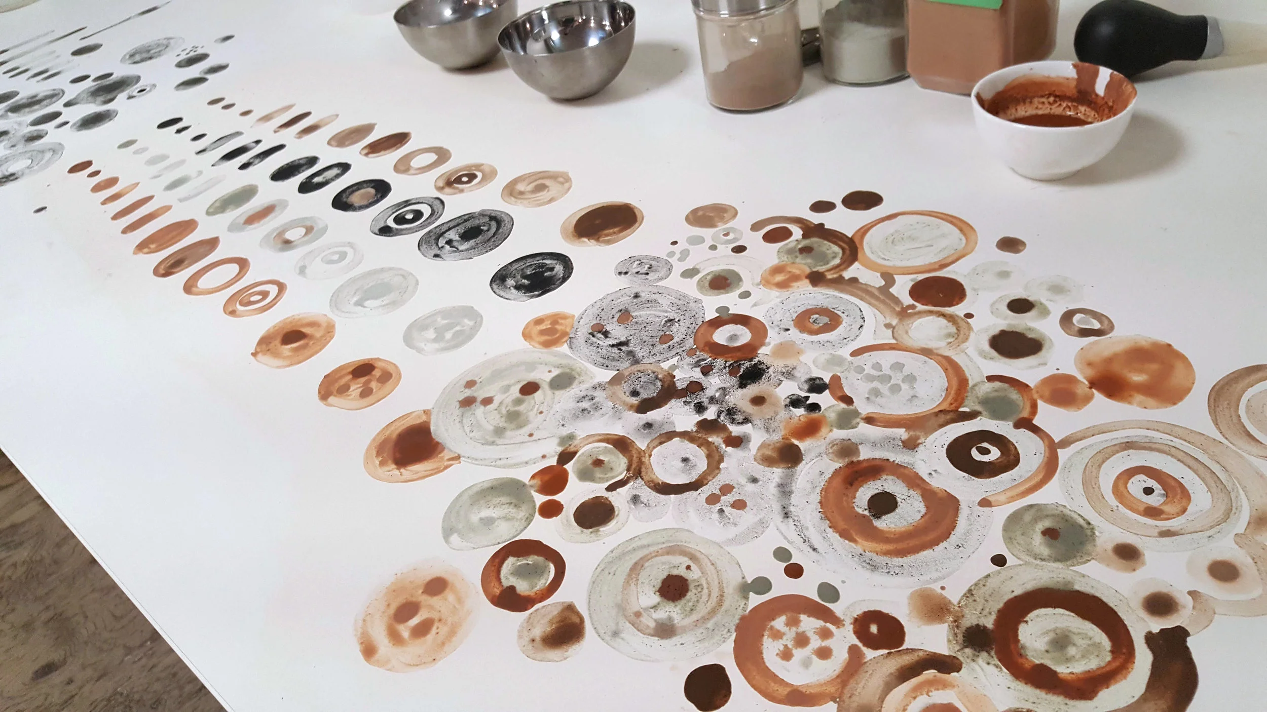 Terraflora studio tests, fall 2018.