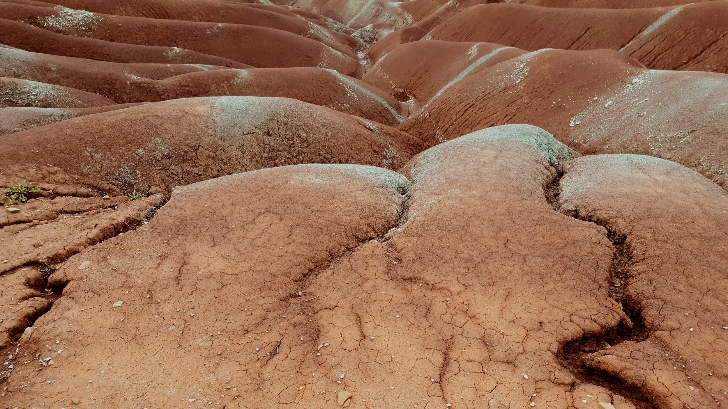 Red and green iron oxides, Cheltenham Badlands, Caledon, Ontario