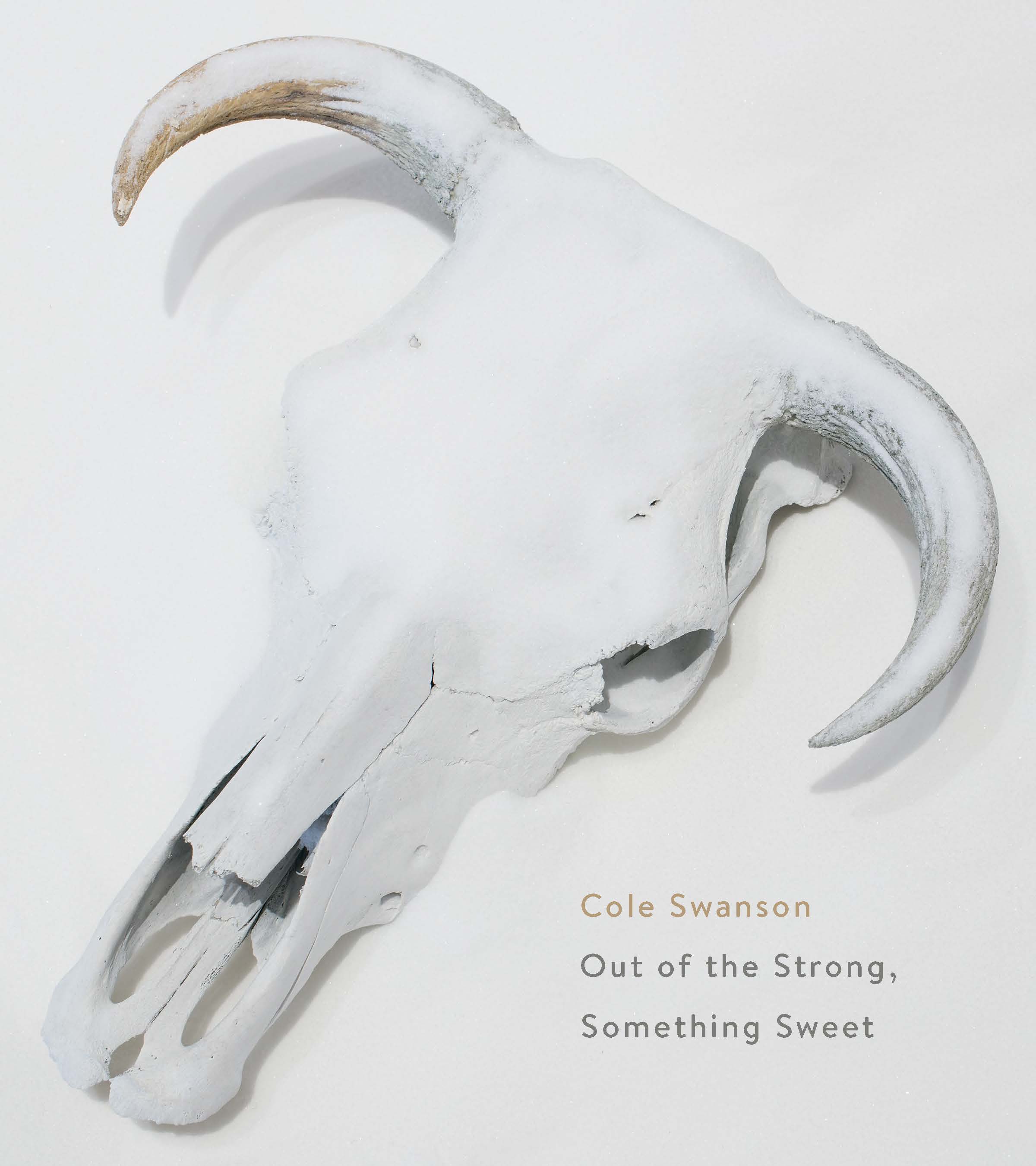 Cole Swanson: Out of the Strong, Something Sweet McLellan, Ashley; Owen, Dawn; Topdjian, Carolyne. Art Gallery of Guelph. Guelph, 2016. artgalleryofguelph.ca