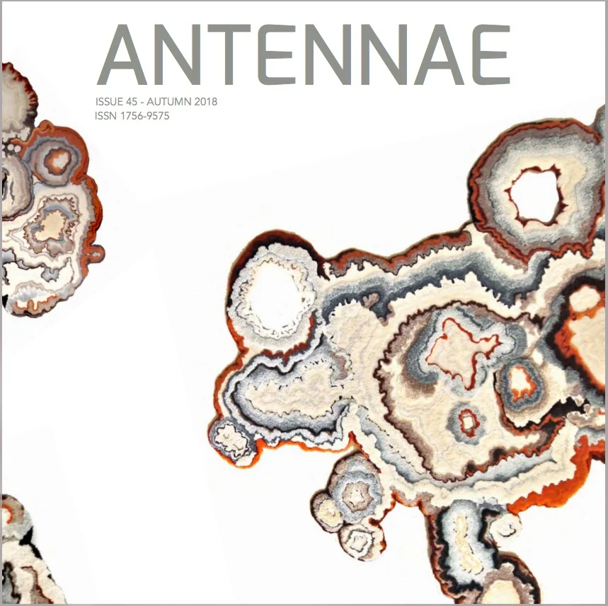 Matter Matters: Lecanora Muralis Swanson, Cole. Lecanora Muralis, Antennae: Journal of Nature in Visual Culture, No. 45. London, UK, 2018. www.antennae.org.uk/home/4594152034