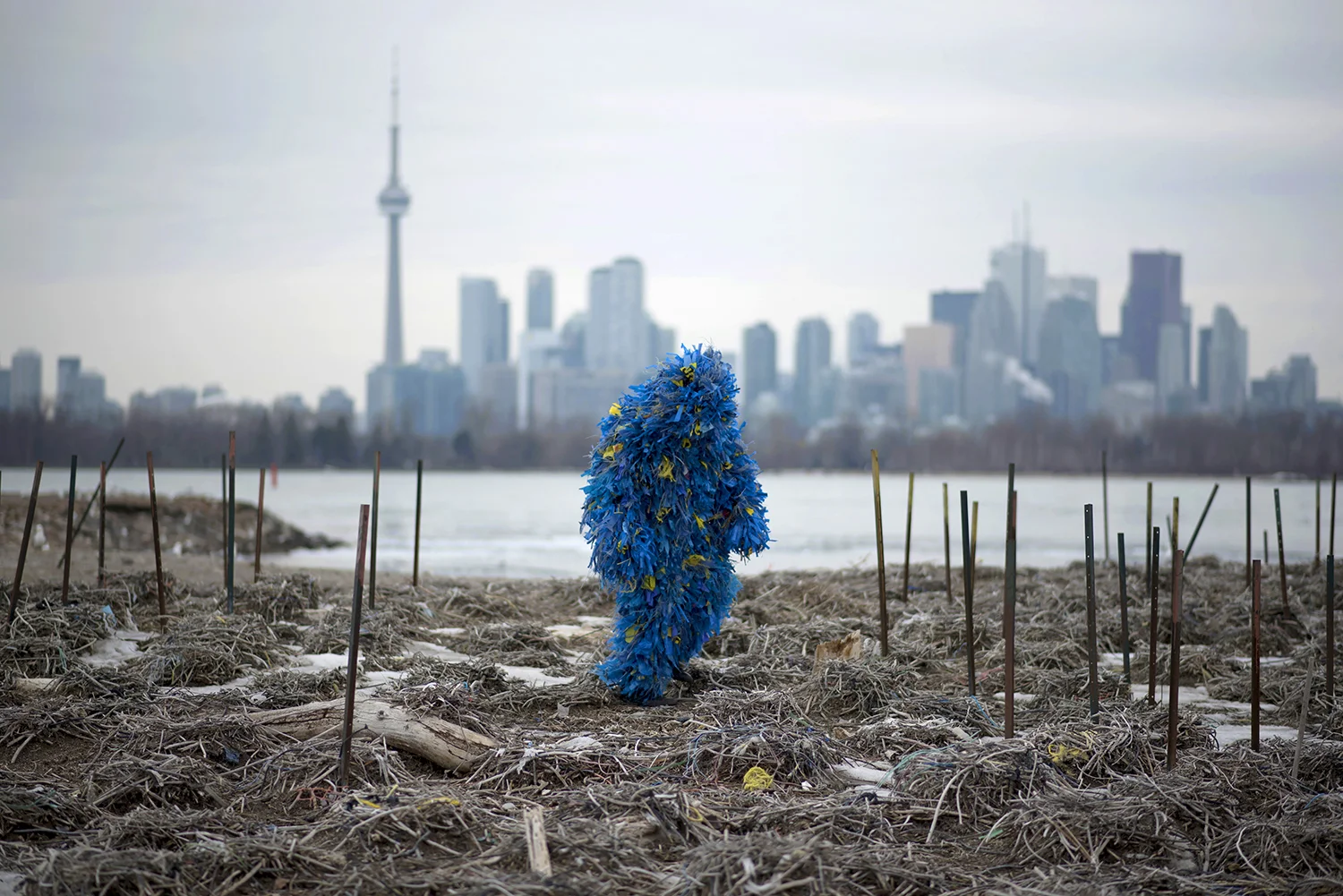 The exhibition examines the material connections between humans and cormorants as demonstrated by the birds’ collection of non-biodegradable waste materials. Devil’s Colony is a recreation of the nesting site and its dramatic shifts in ecological activity. The work transports patrons into the heart of the colony to bear witness to the complex lives of a burgeoning species at a critical sociocultural and political moment. Through this intimate, material encounter, Devil’s Colony attempts to promote curiosity and empathy to consider the manifold relationships we share with other agents in the natural world. Spit Spectre , C-print, 48” x 32”, 2019, documentation by Jamie McMillan