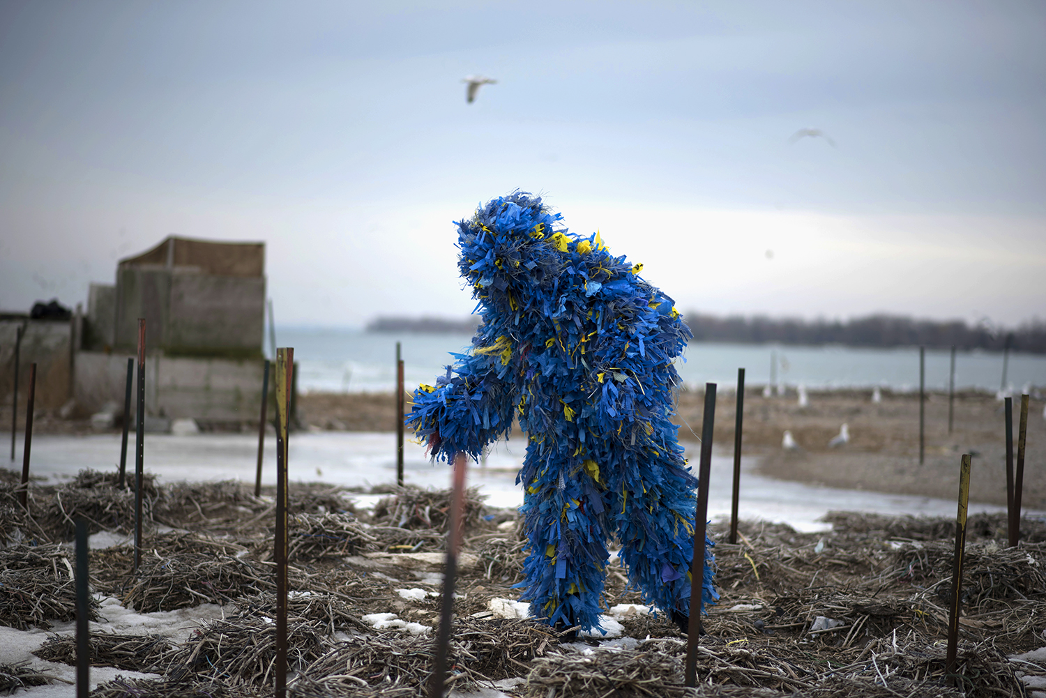 Spit Spectre is a speculative performance artwork that muses on time, materiality, and interspecies relationships in the anthropocene. A being composed of materials found within the colony nests, it stalks the site in perpetuity. Spit Spectre (performance), video installation, 43 minutes, documented by Jamie McMillan, 2019.