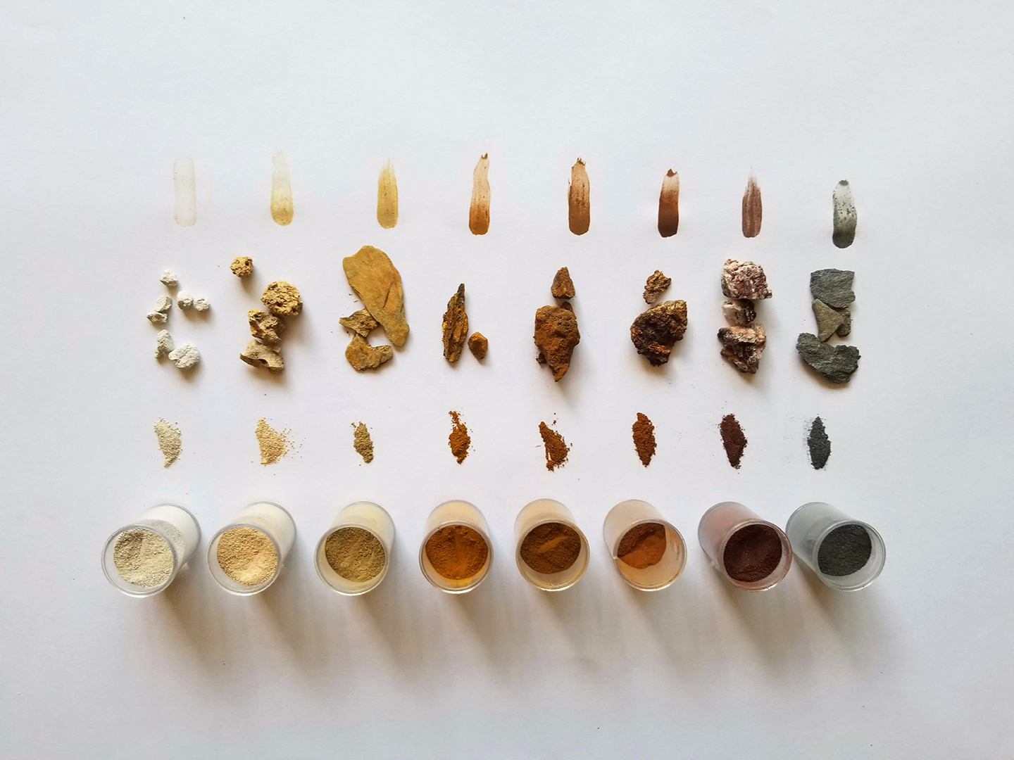 In total, eight pigments were isolated to create a spectrum of colours from which the living mural was produced.