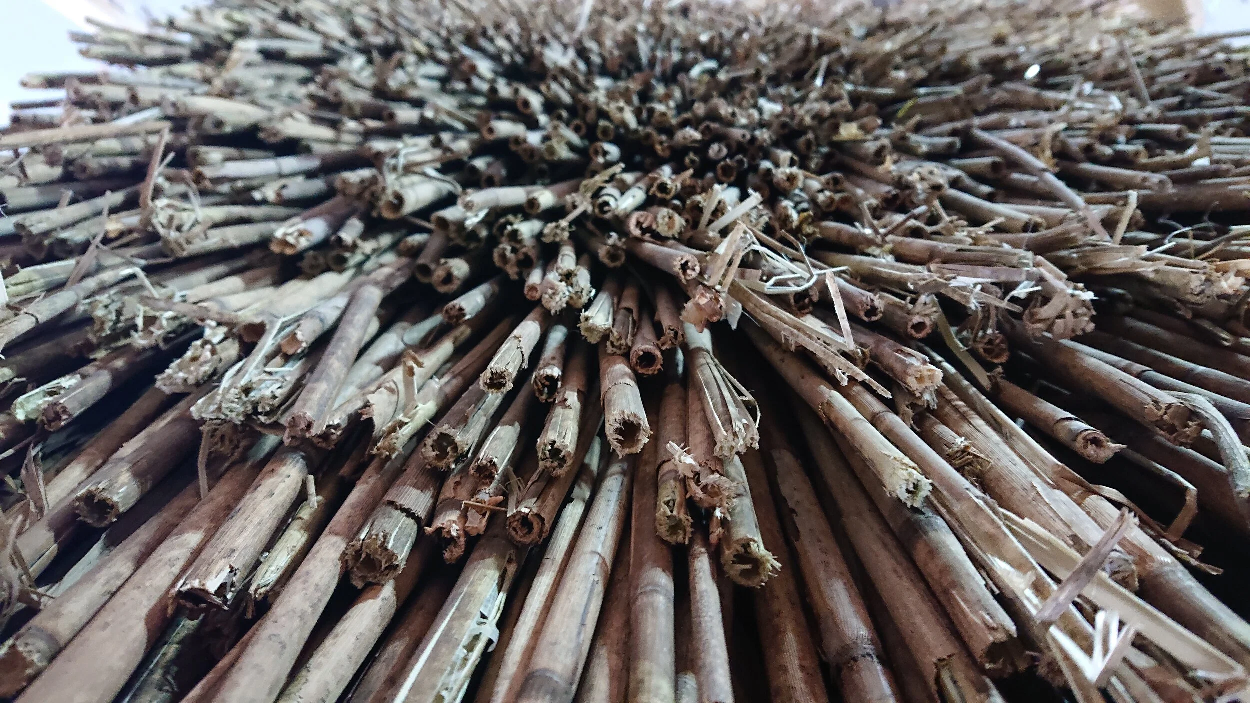  Photo by Harry Knight. 