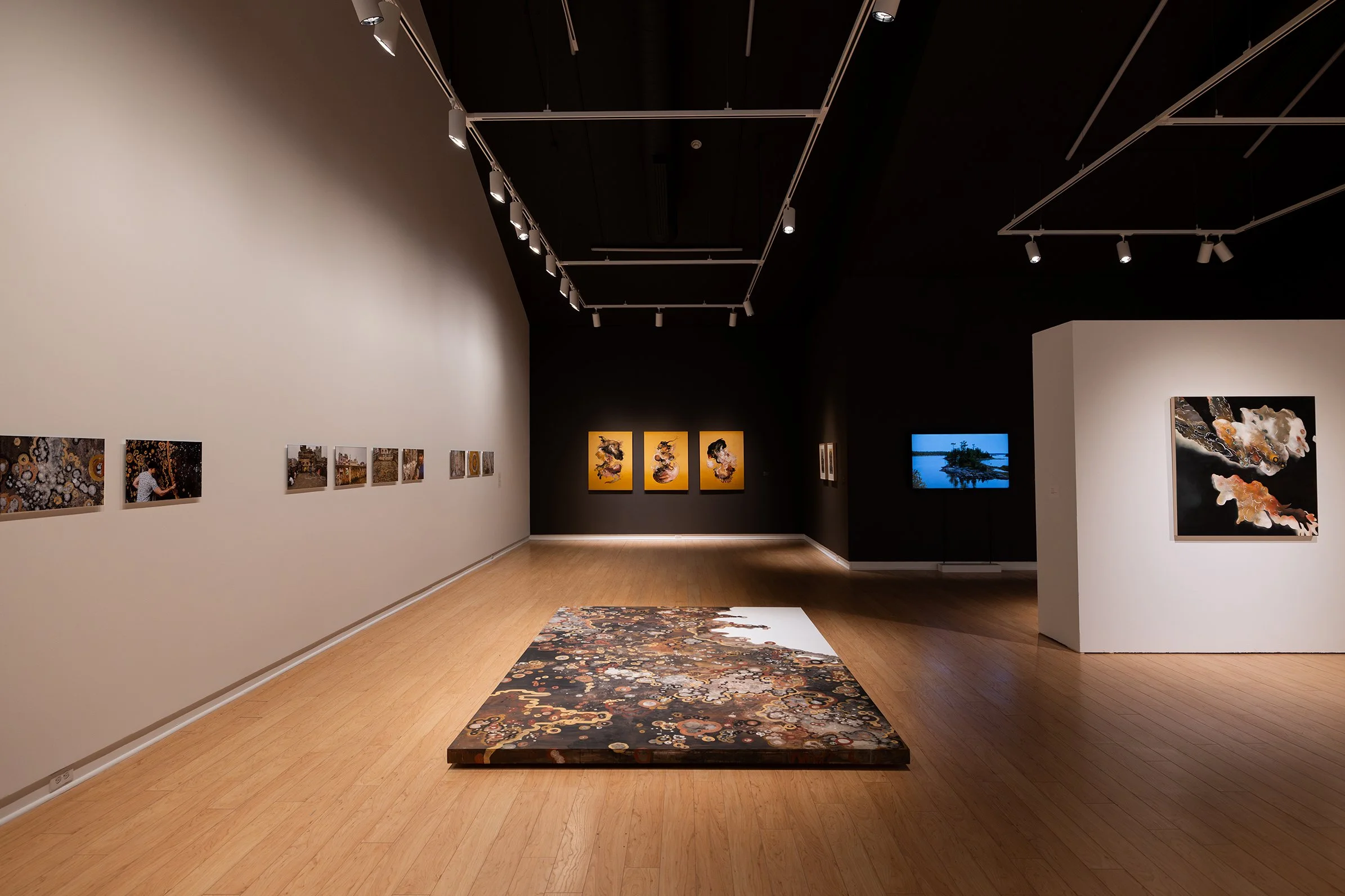  This project was supported through grants from the Canada Council for the Arts, the Ontario Arts&nbsp;Council, an agency of the Government of Ontario, and&nbsp;the Toronto Arts Council with funding from the City of Toronto.  I would like to express 
