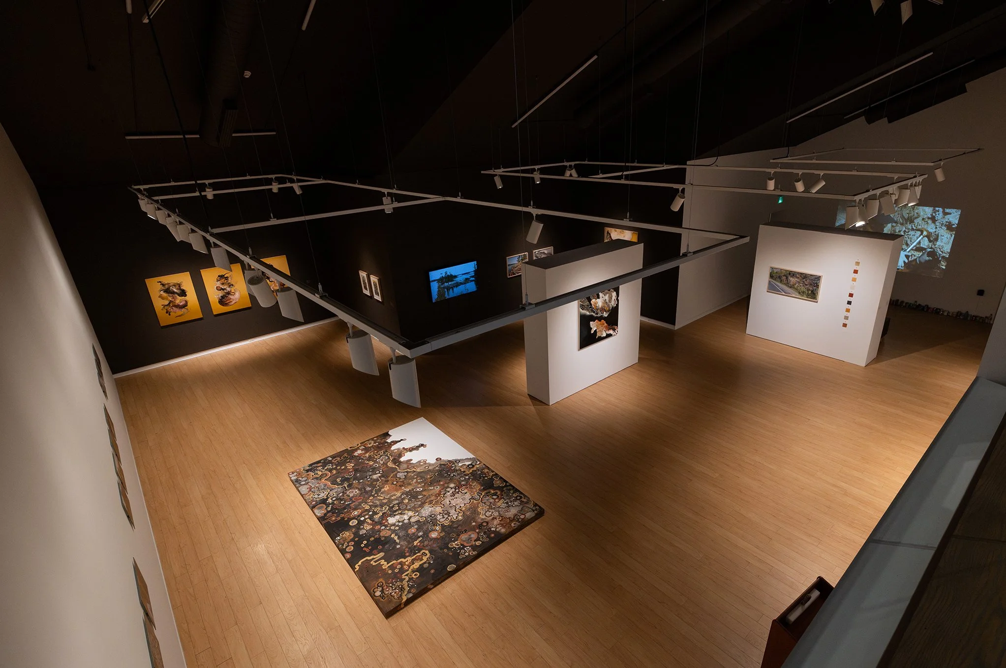  For twenty years, I have studied the material, ecological, and aesthetic dimensions of minerals. These exploits include rare methods of pigment-making, illuminated&nbsp;miniatures, and eco-artworks grounded in my early training in miniature painting
