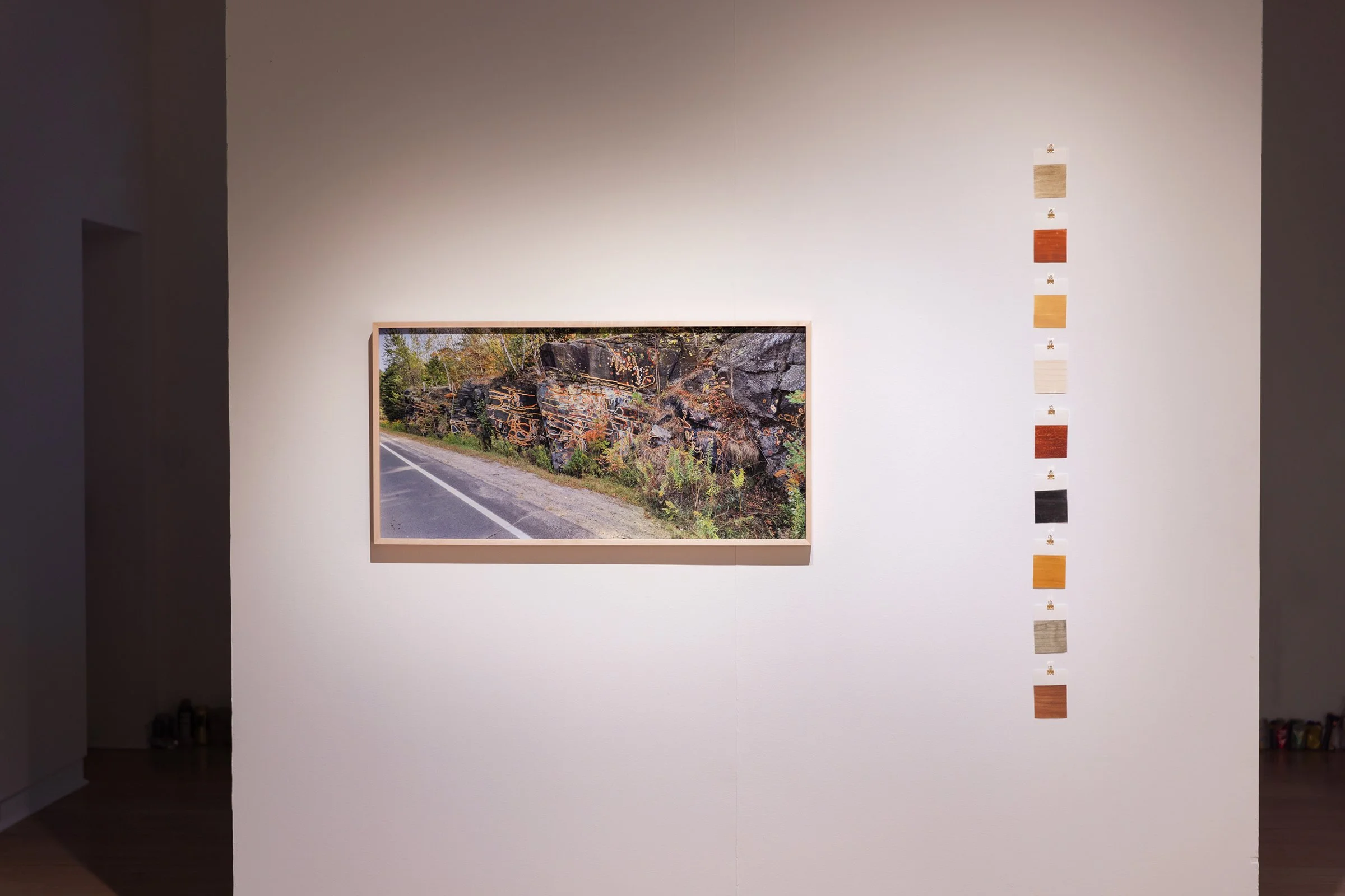  The collection of mineral colours prepared for use in the mural is depicted in the swatches hanging on the right. Mineral colours harvested from sites in Jaipur– the place where my practice was borne– and the Precambrian Shield are interspersed to c