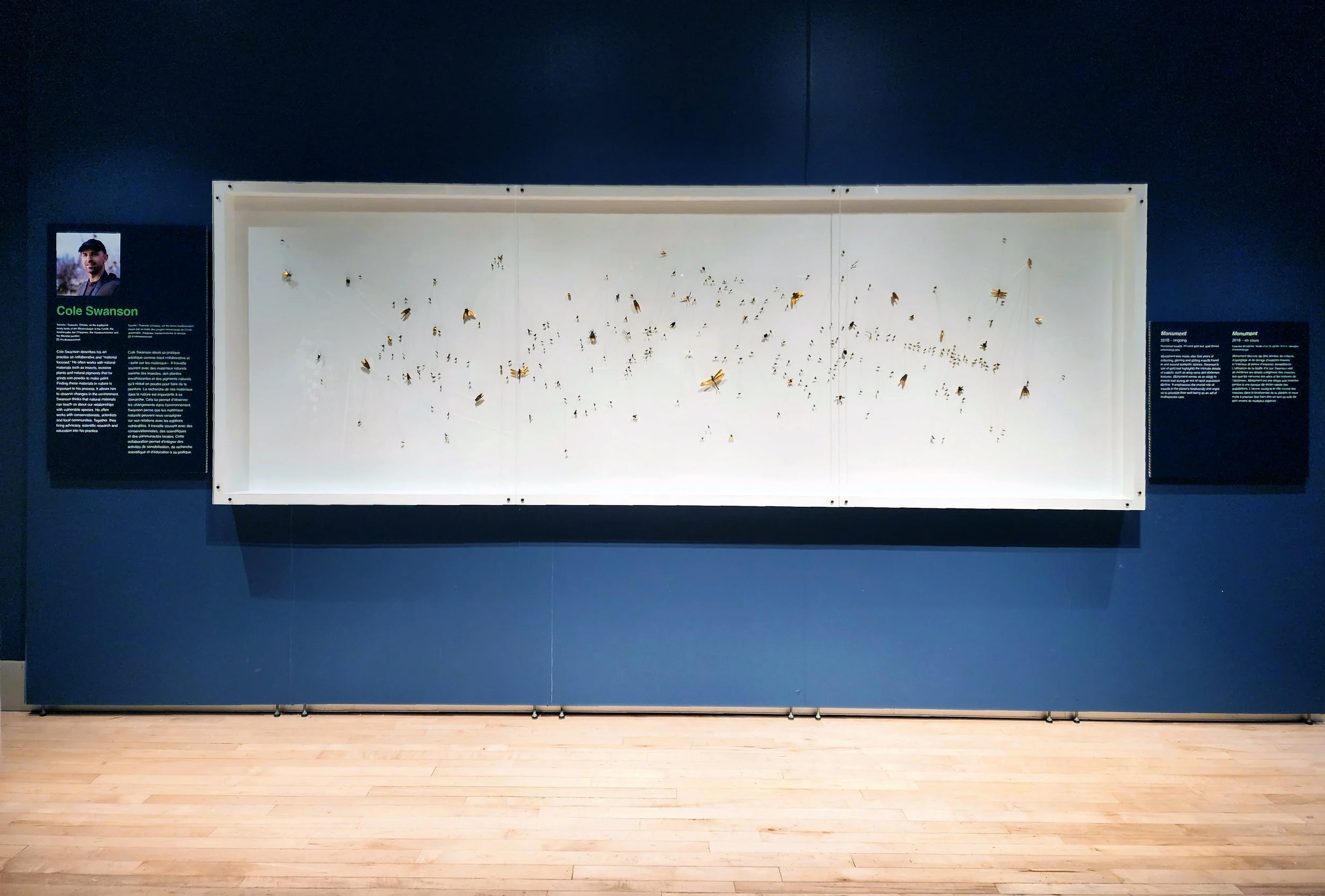   Monument V,  Canadian Museum of Nature, Ottawa, in  Rewilding: David Suzuki Foundation Rewilding Arts Prize , 2023. 