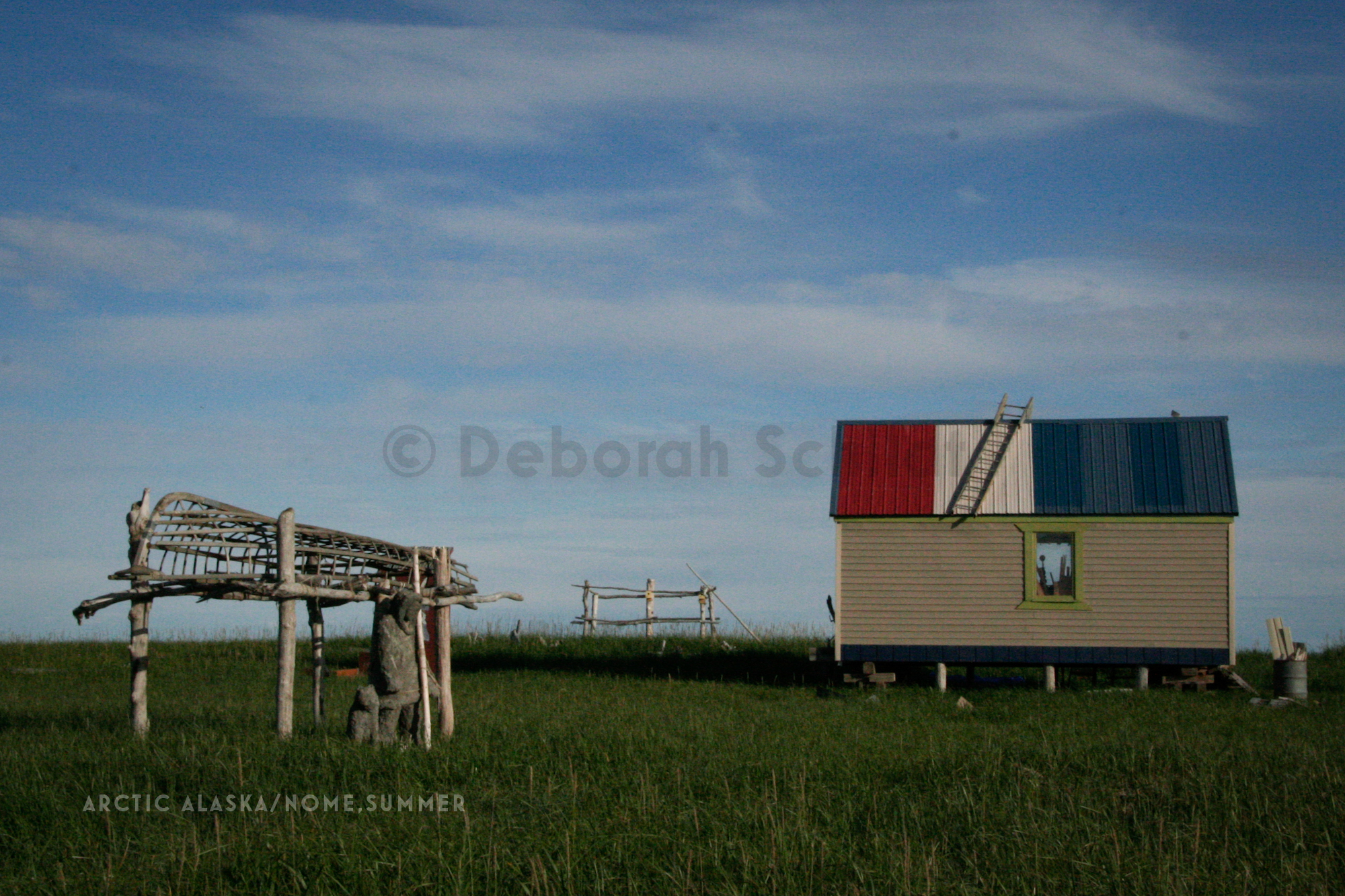 CT10. Arctic Alaska-Near Nome summer.jpg