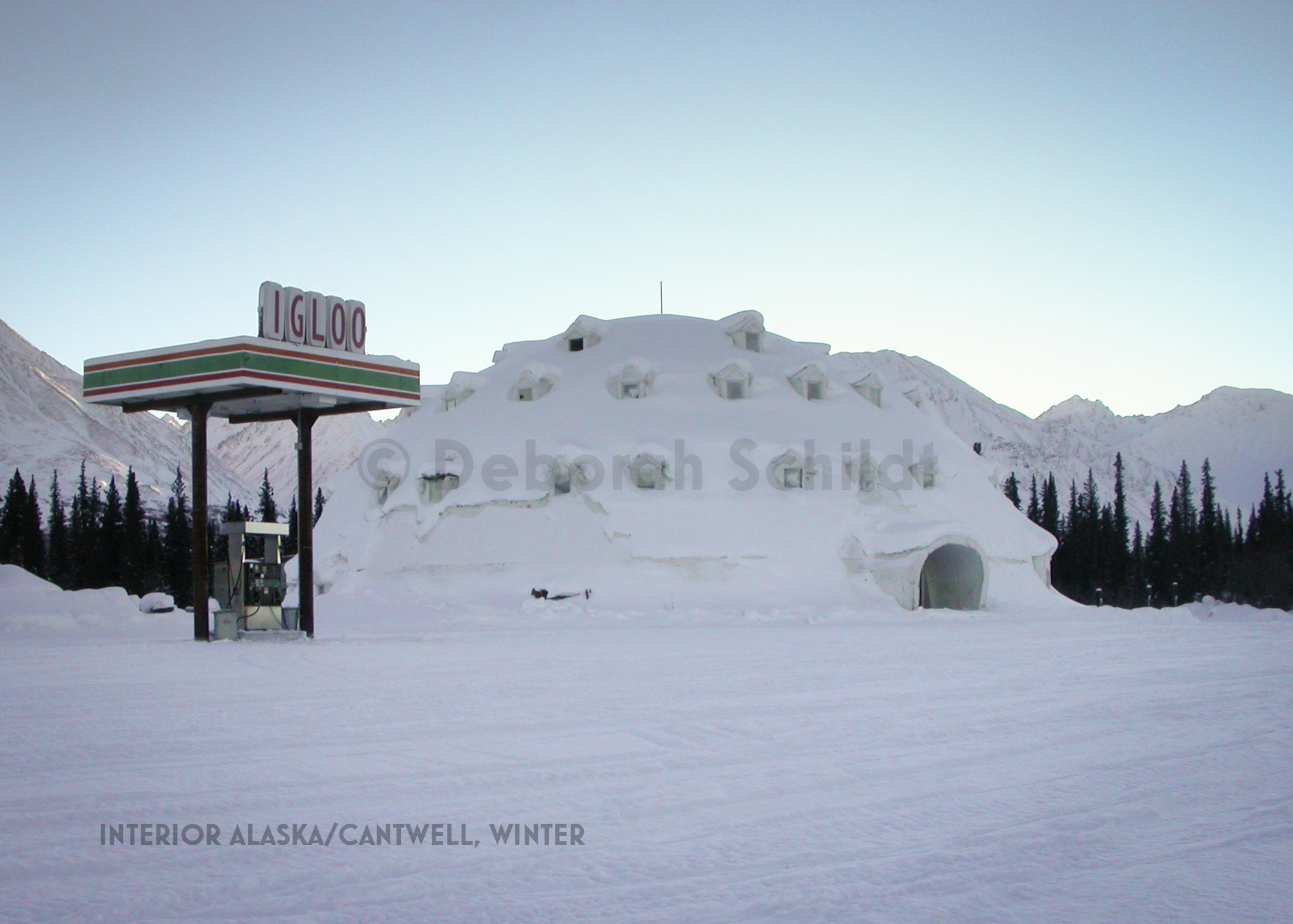 CT 2. Interior Alaska_Cantwell_ winter.jpg