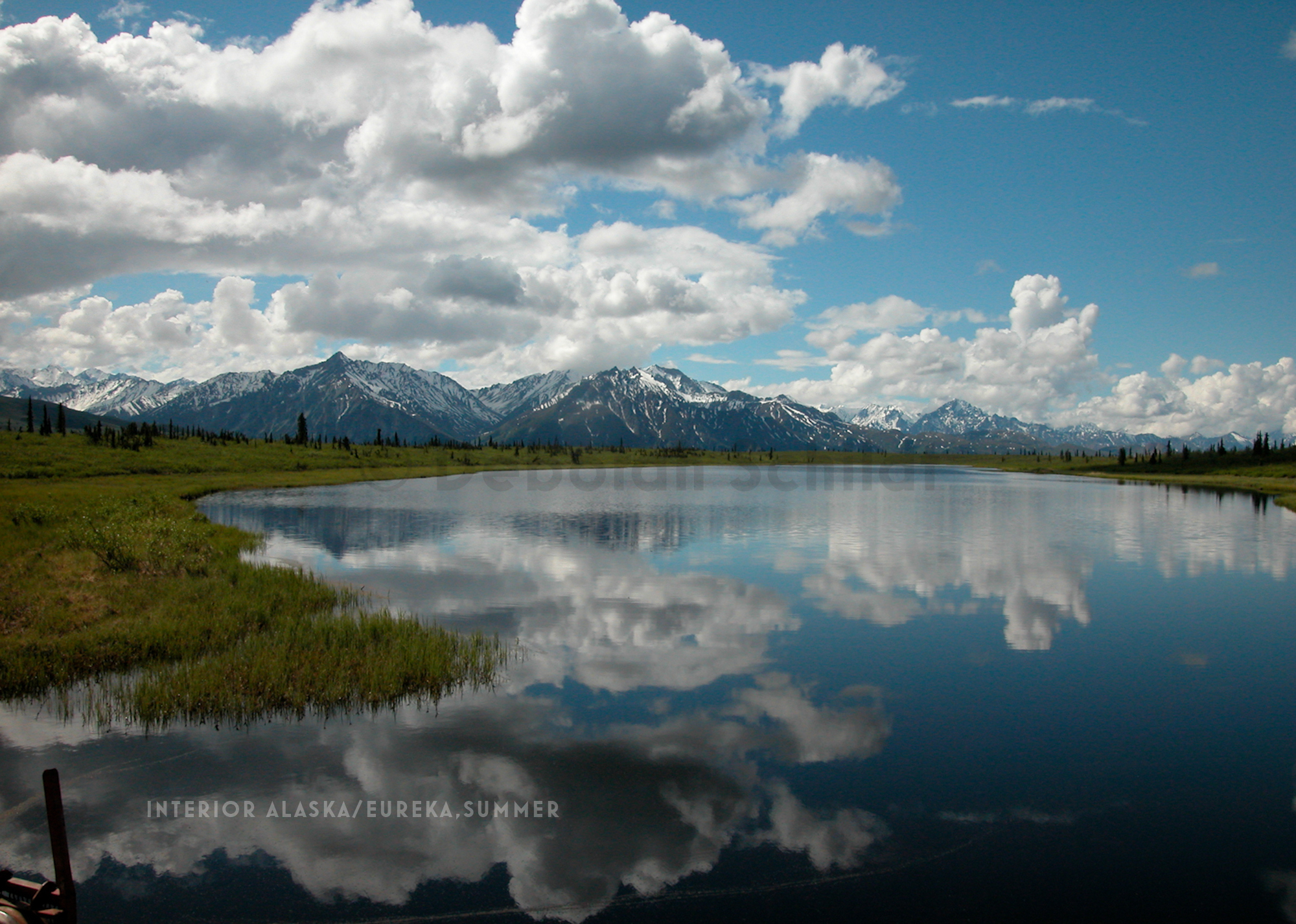 CT 8. Interior Alaska-Eureka_ summer.jpg