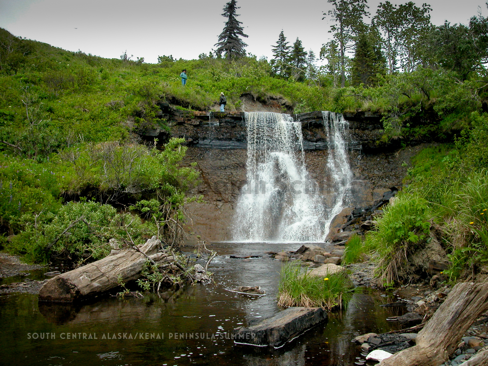 CT11. 2South Central Alaska-Near Homer_ summer.jpg