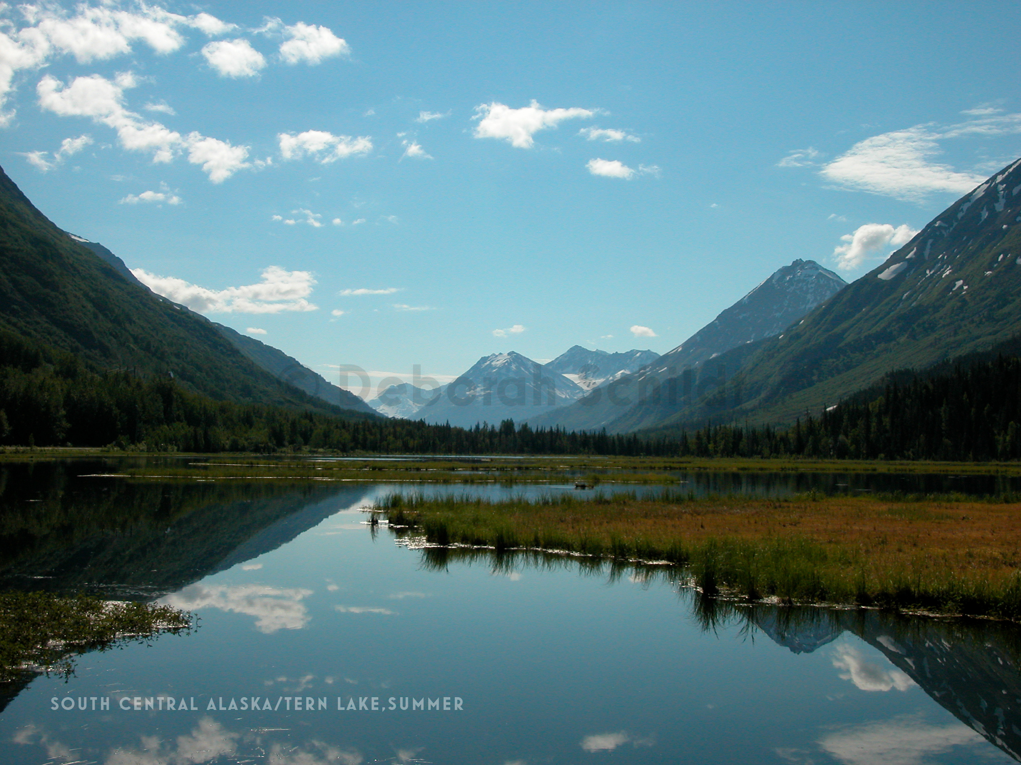 CT15. South Central Alaska-Tern Lake_summer.jpg