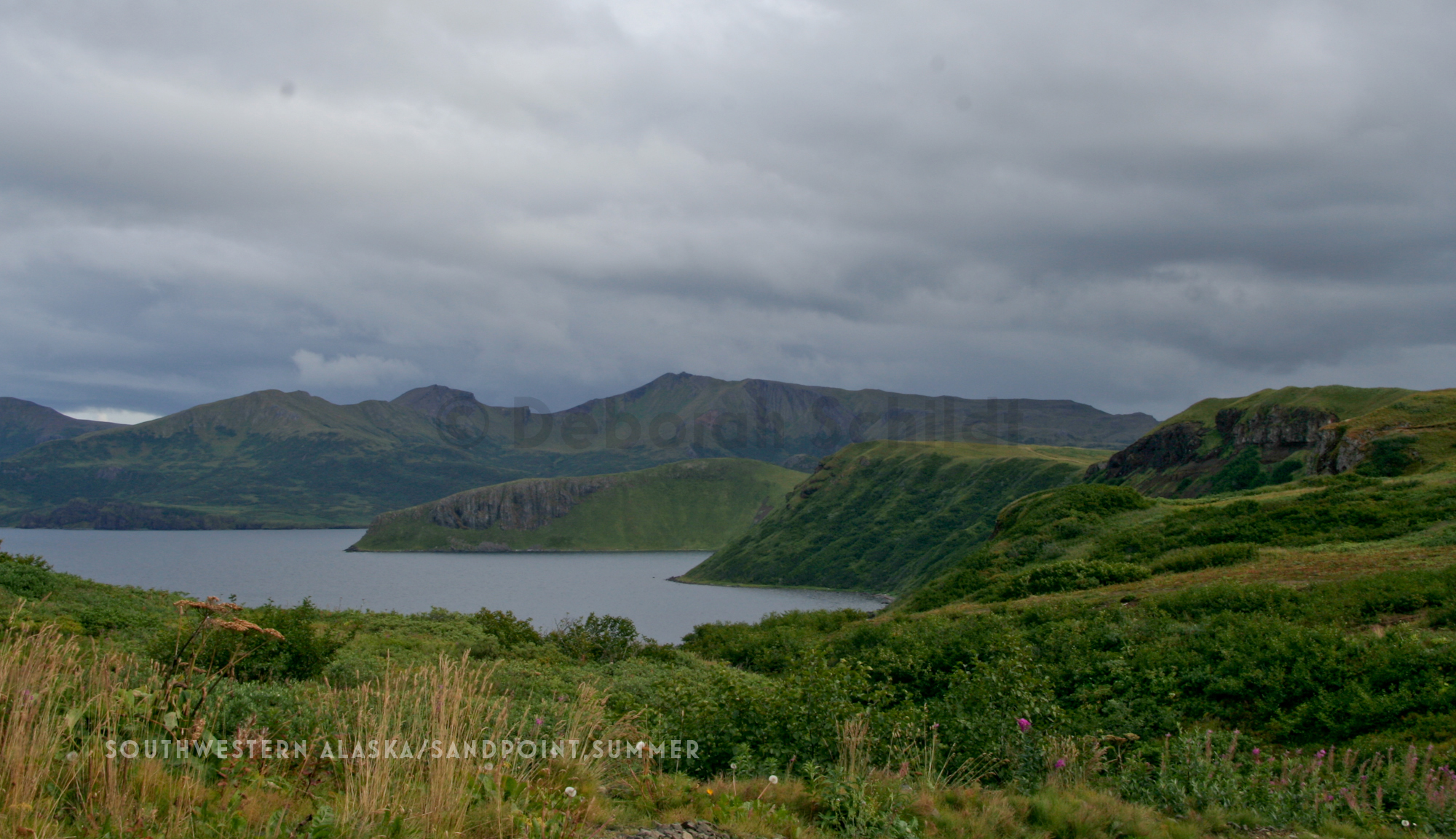 CT9.Southwestern Alaska-Sand Point_ late summer.jpg