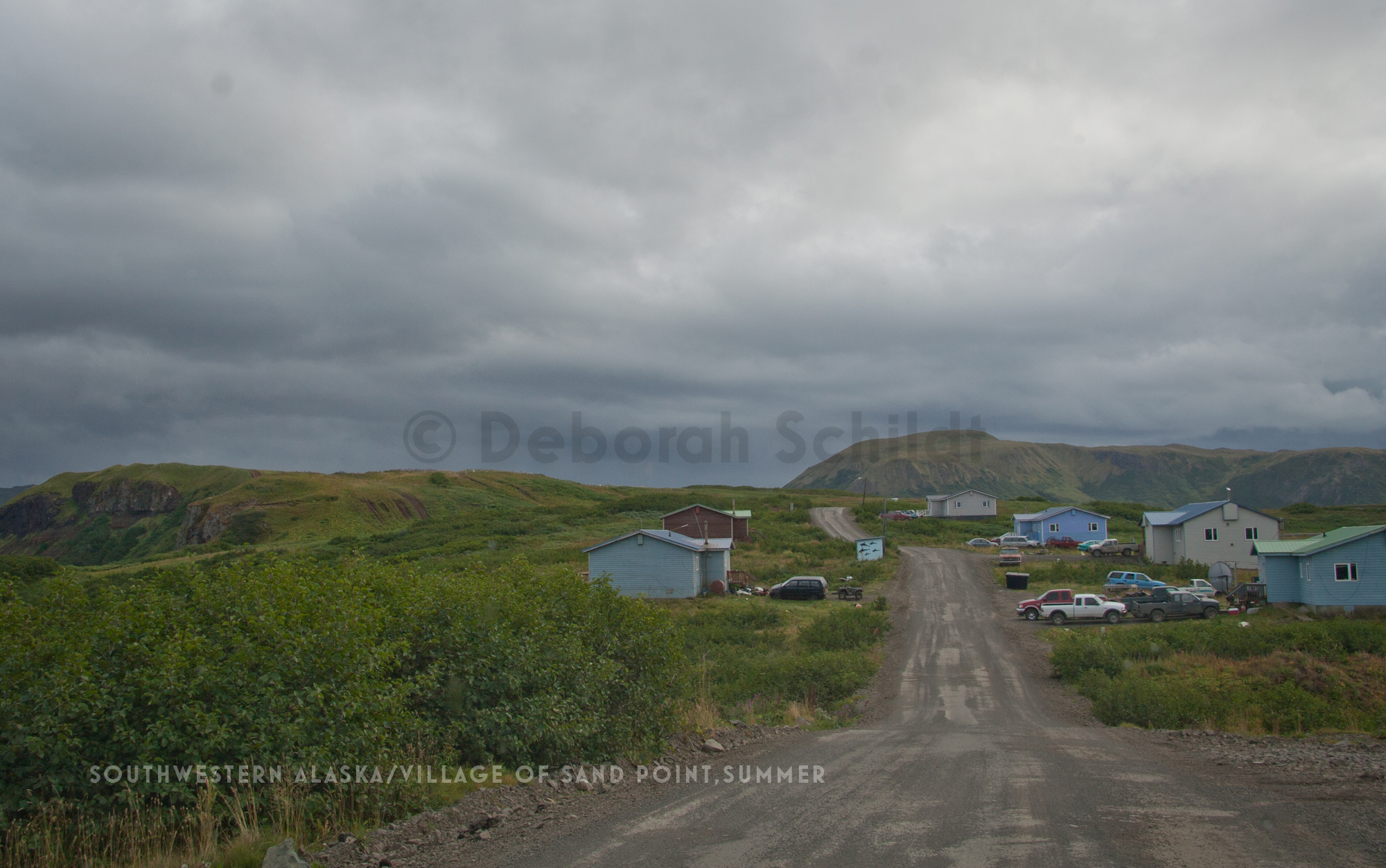 CT17Southwestern Alaska- Sand Point_ late summer.jpg