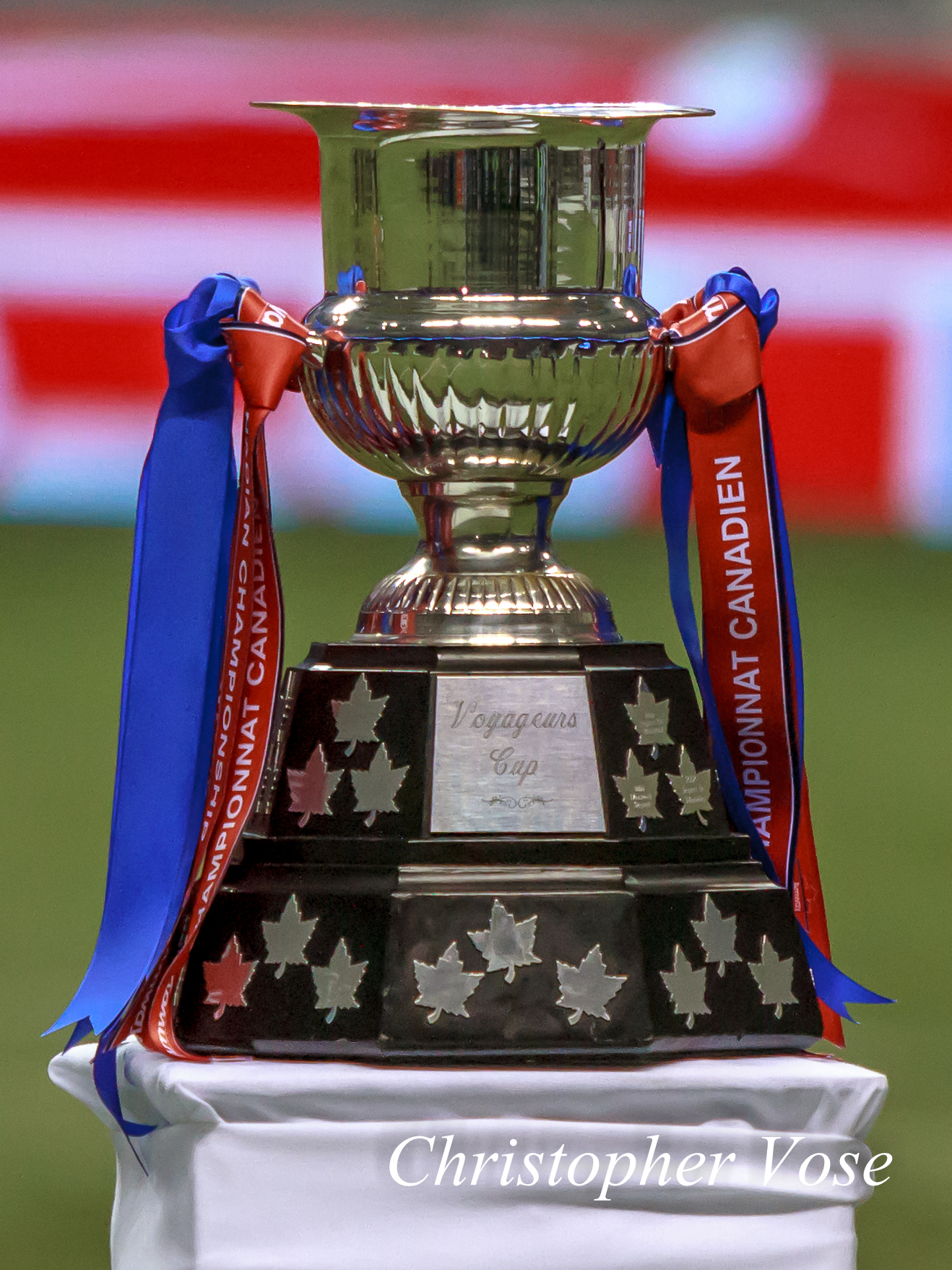 CSA Cup at BC Place on 29 May 2014.