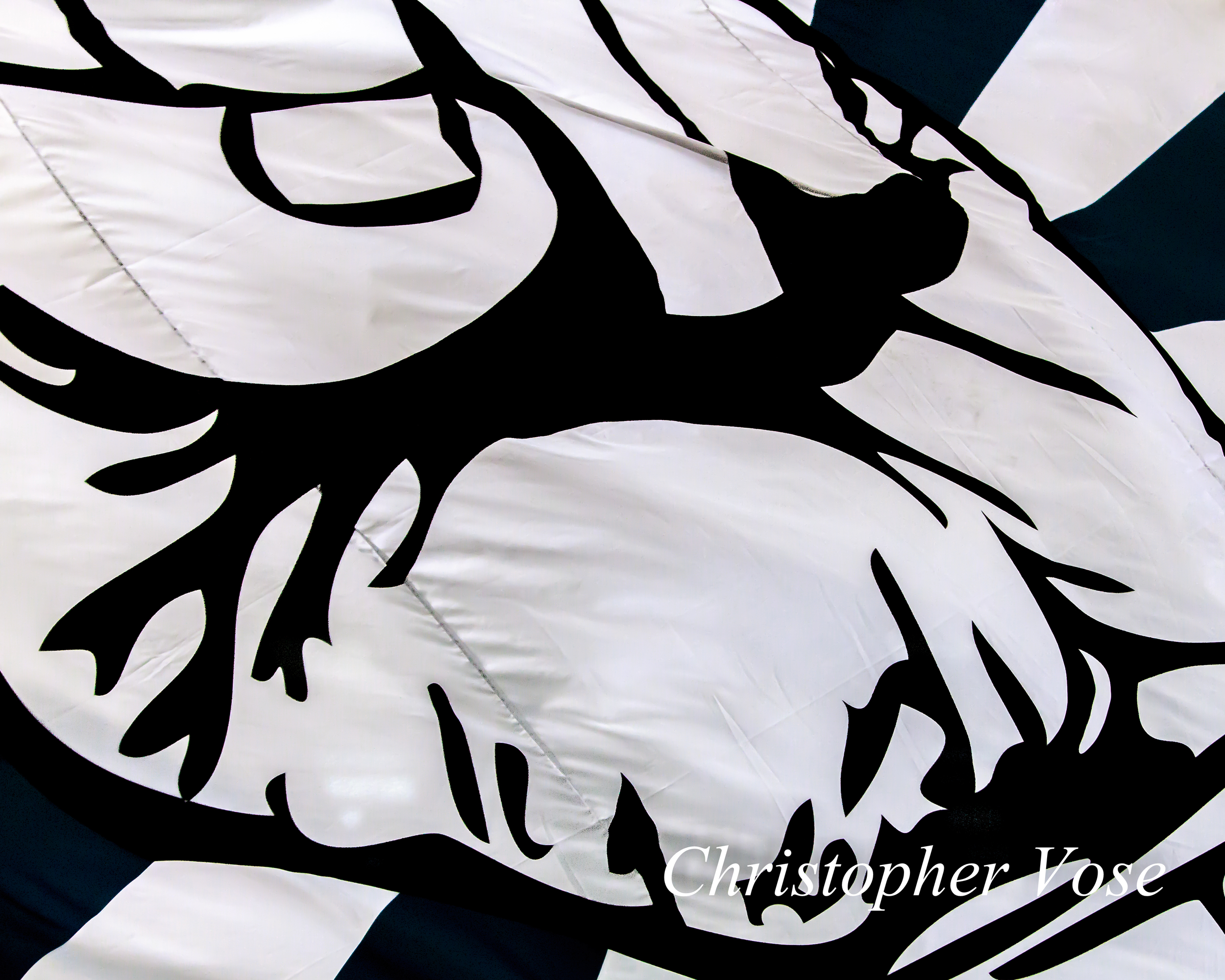 2014-04-05 Curva Collective Tifo.jpg