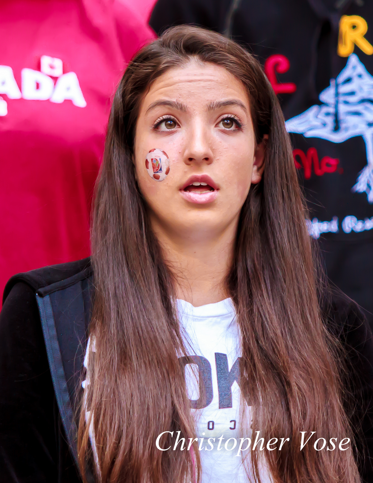 2014-06-18 Voyageur 1.jpg