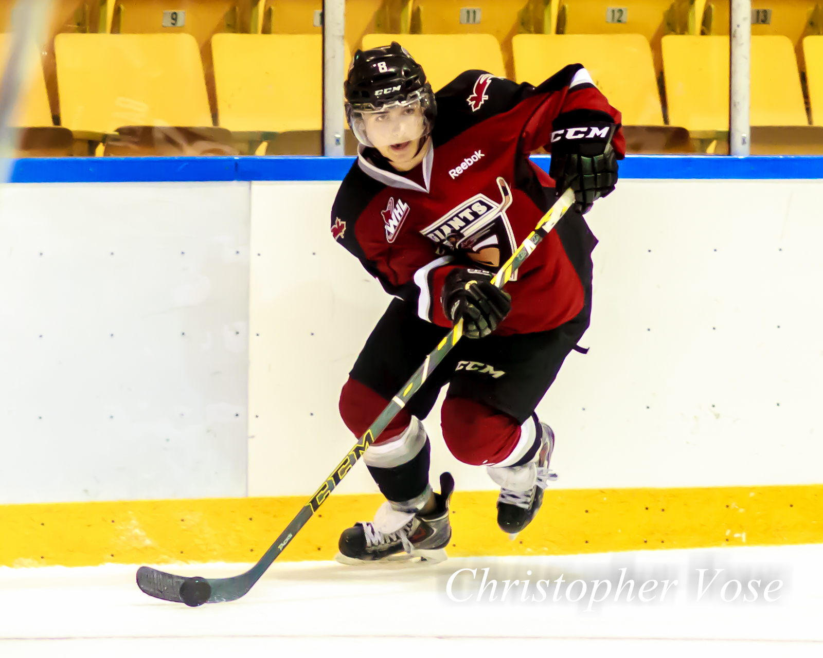 2014-09-07 Alec Baer 2.jpg