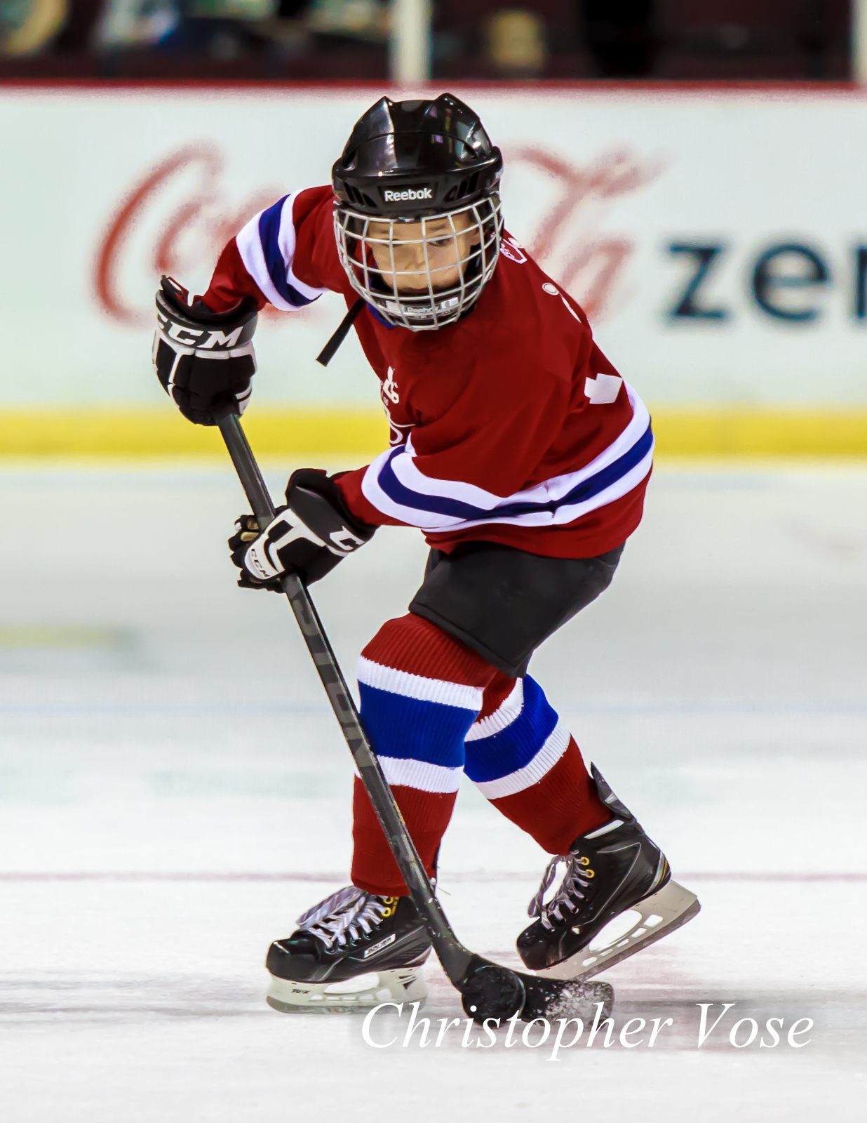 2014-10-05 Vancouver Giants Supporter 1.jpg